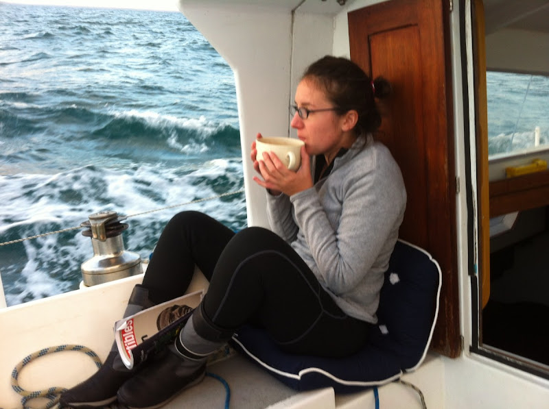 Heading to Vannes! - Photo 1