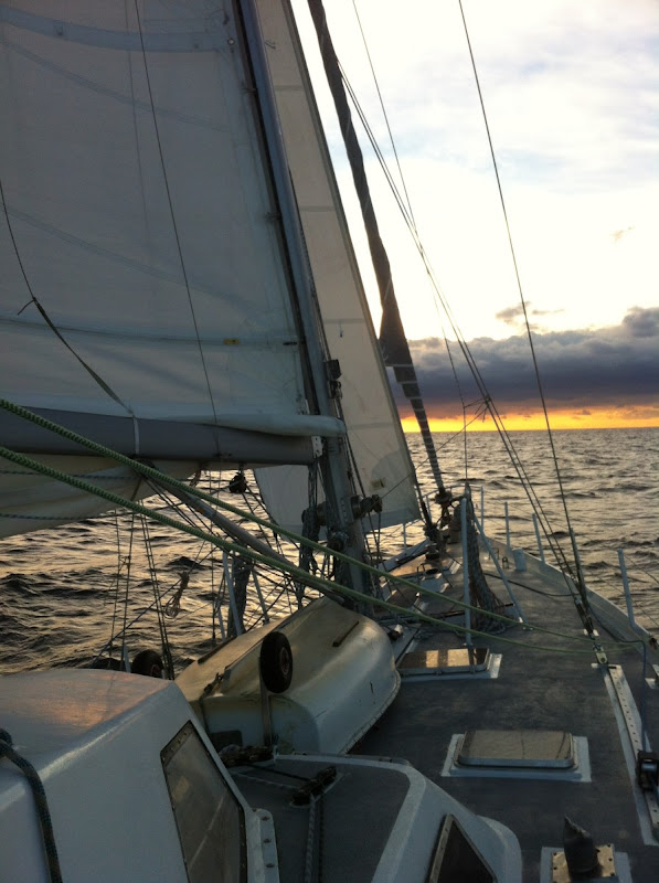 Heading to Vannes! - Photo 8