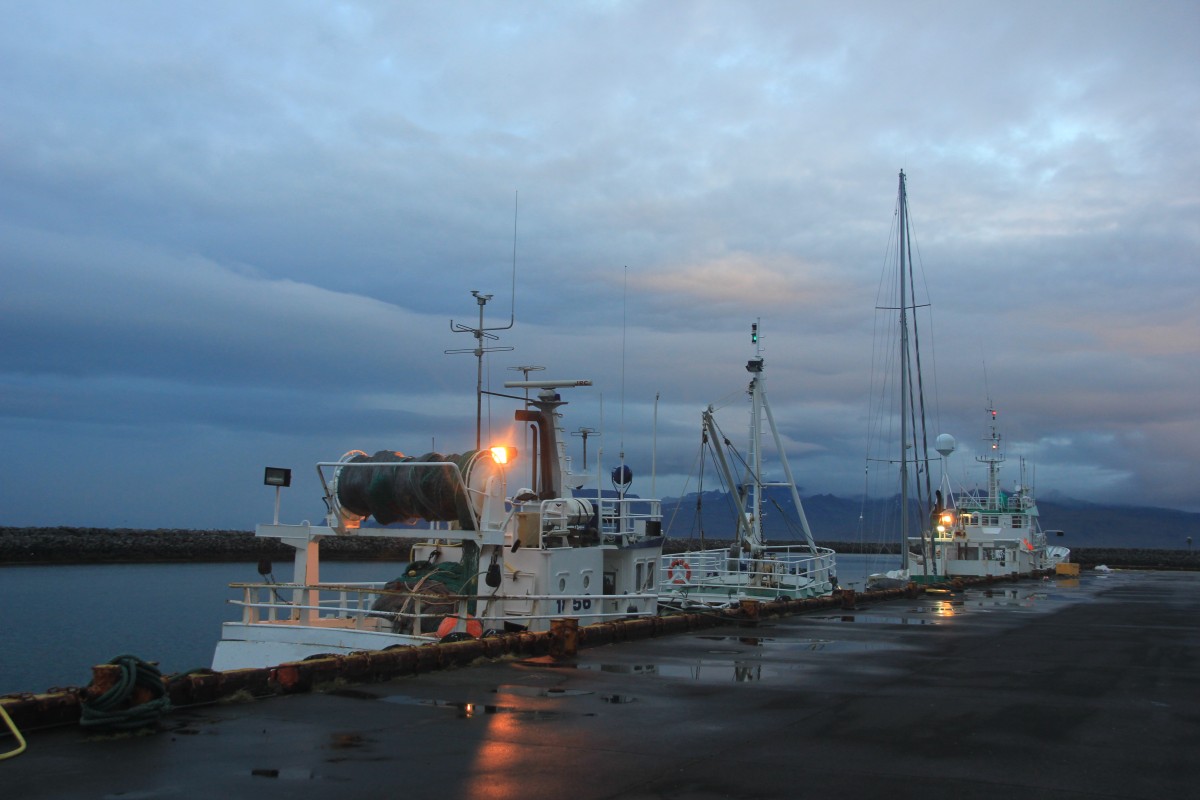 Libertaire au port de Rif