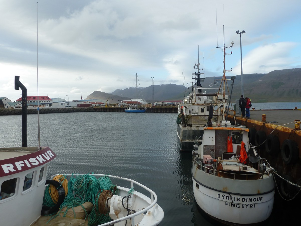 Libertaire in Thingeyri