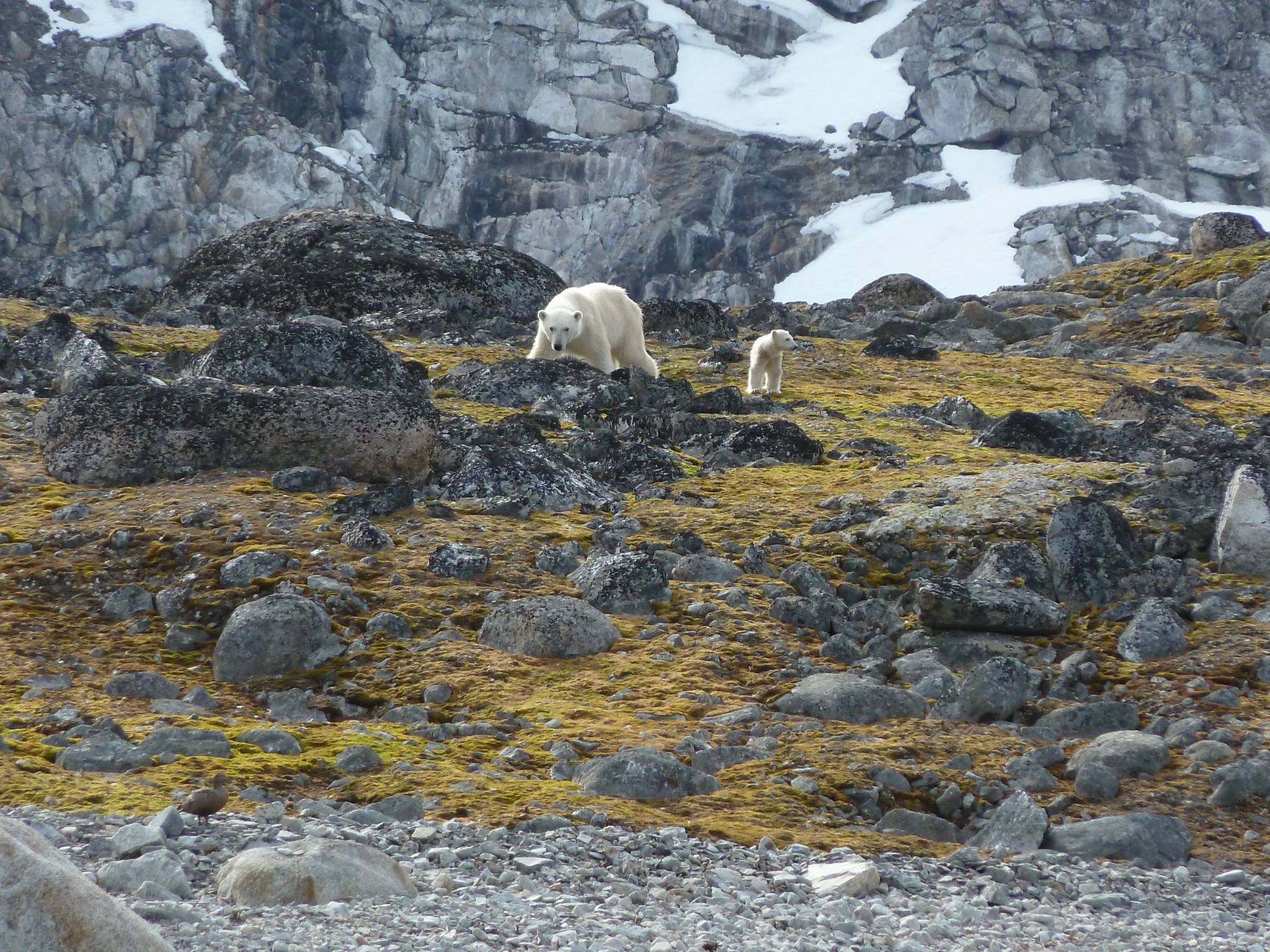 Expedition 2013 - Photo 28