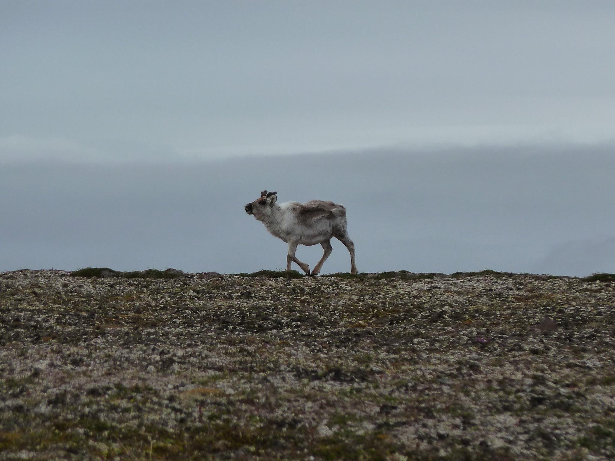 Expedition 2013 - Photo 33