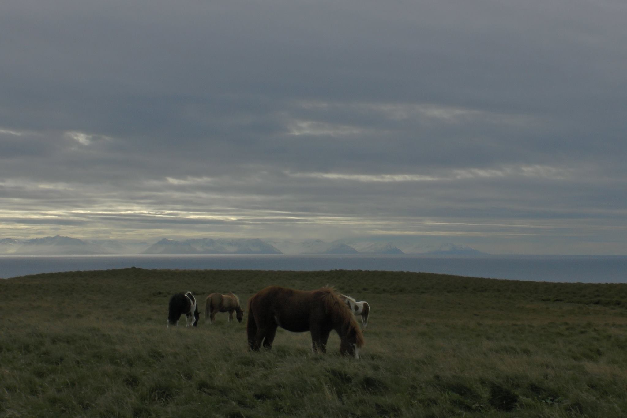 Expedition 2013 - Photo 71