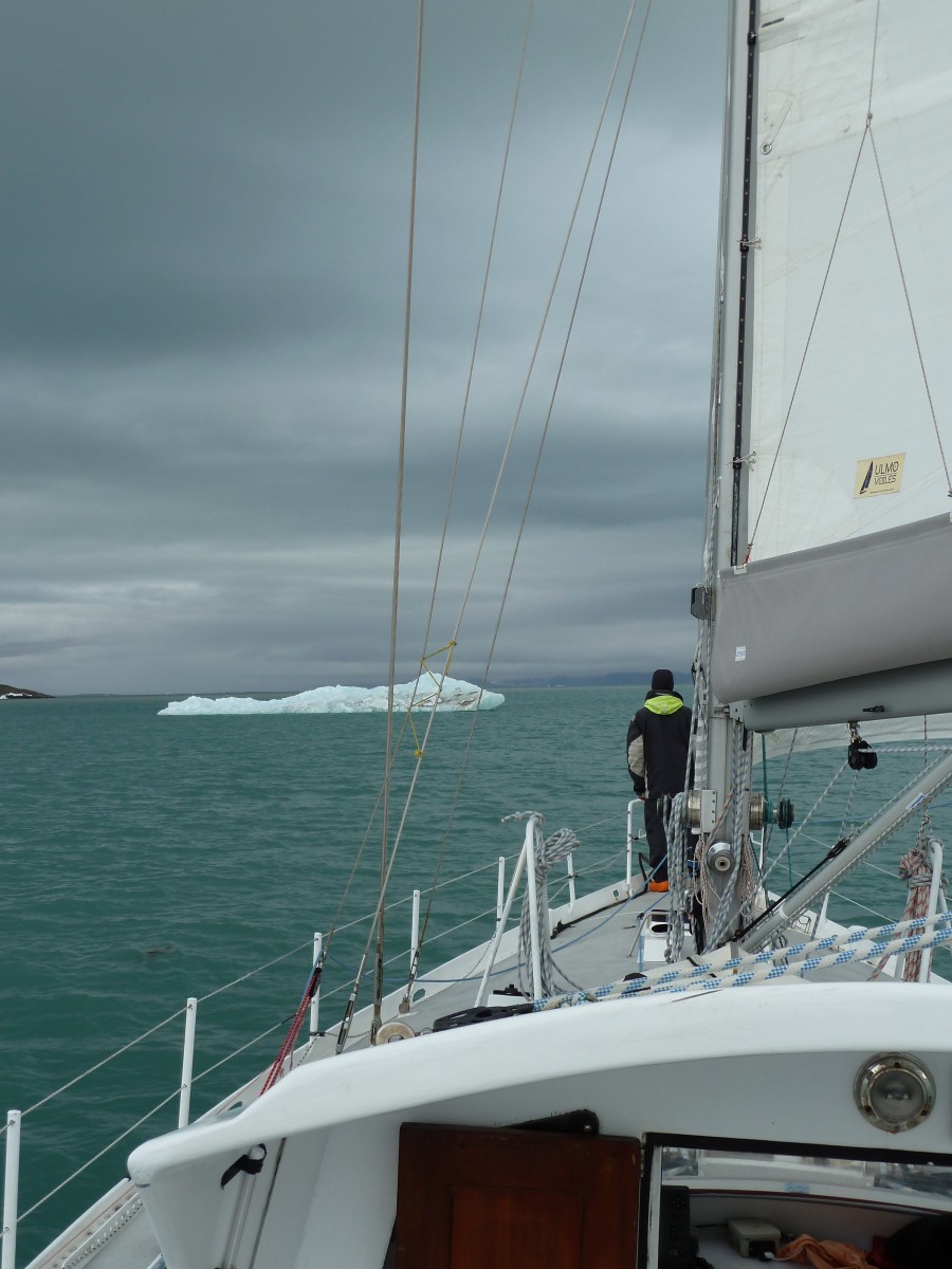 Growler in Woodfjord