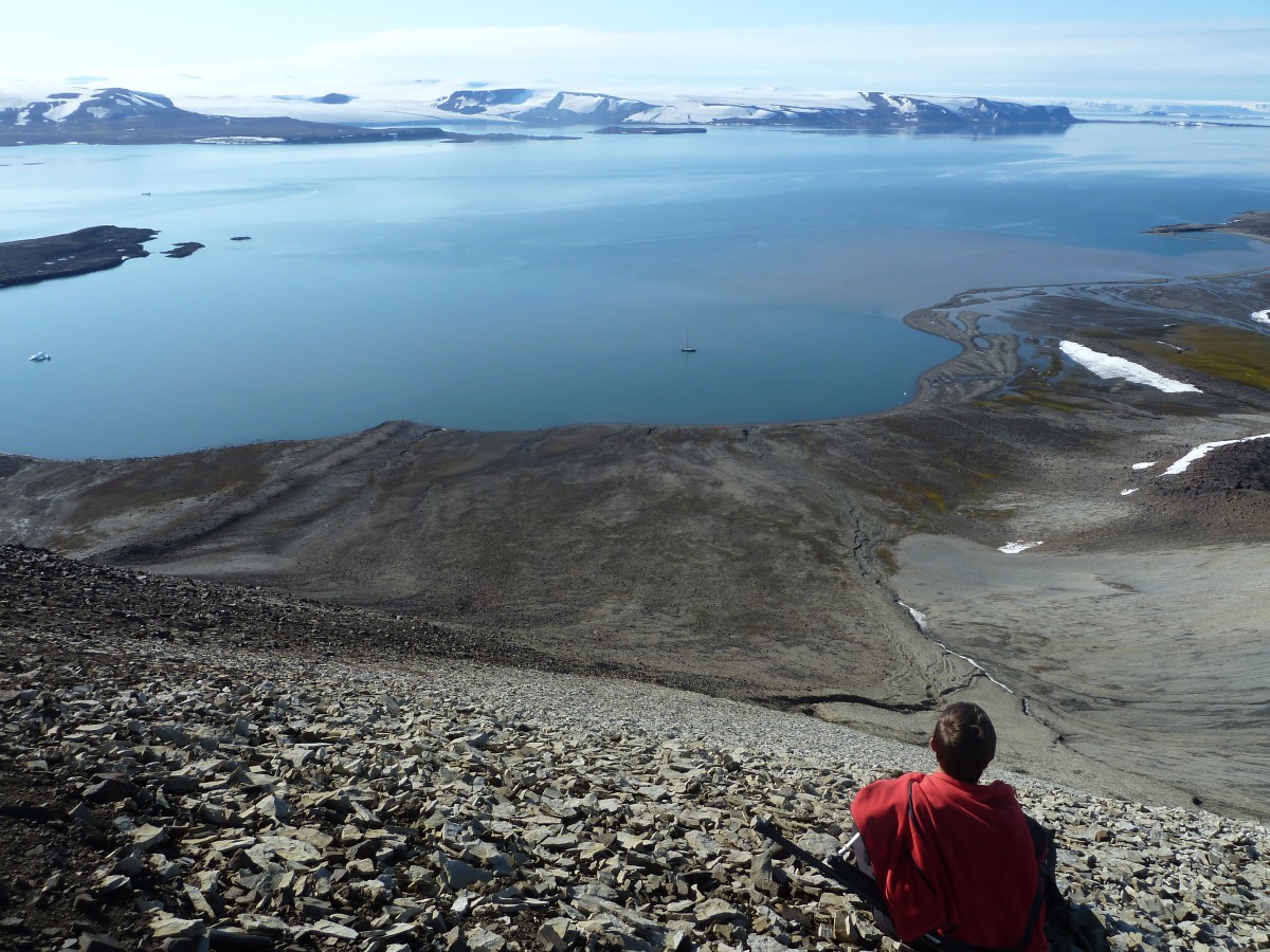 Binnevika on Wilhemoeya