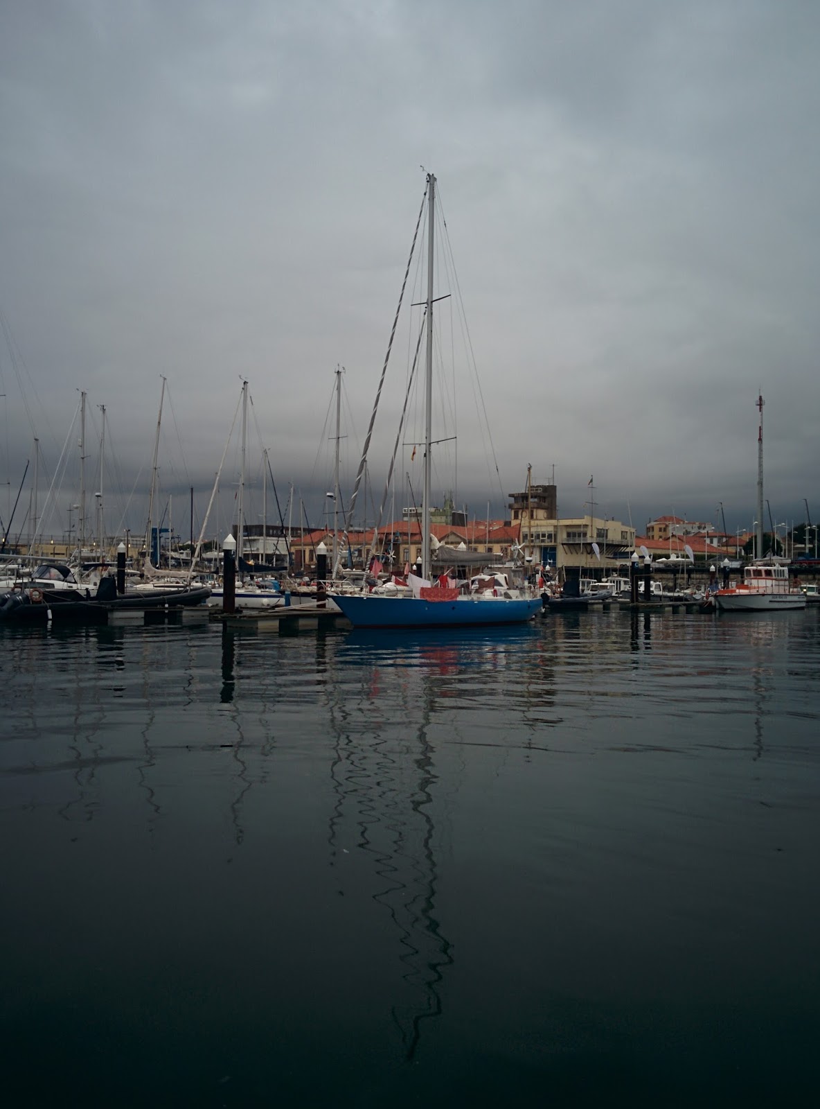 Libertaire au port de Leixoes
