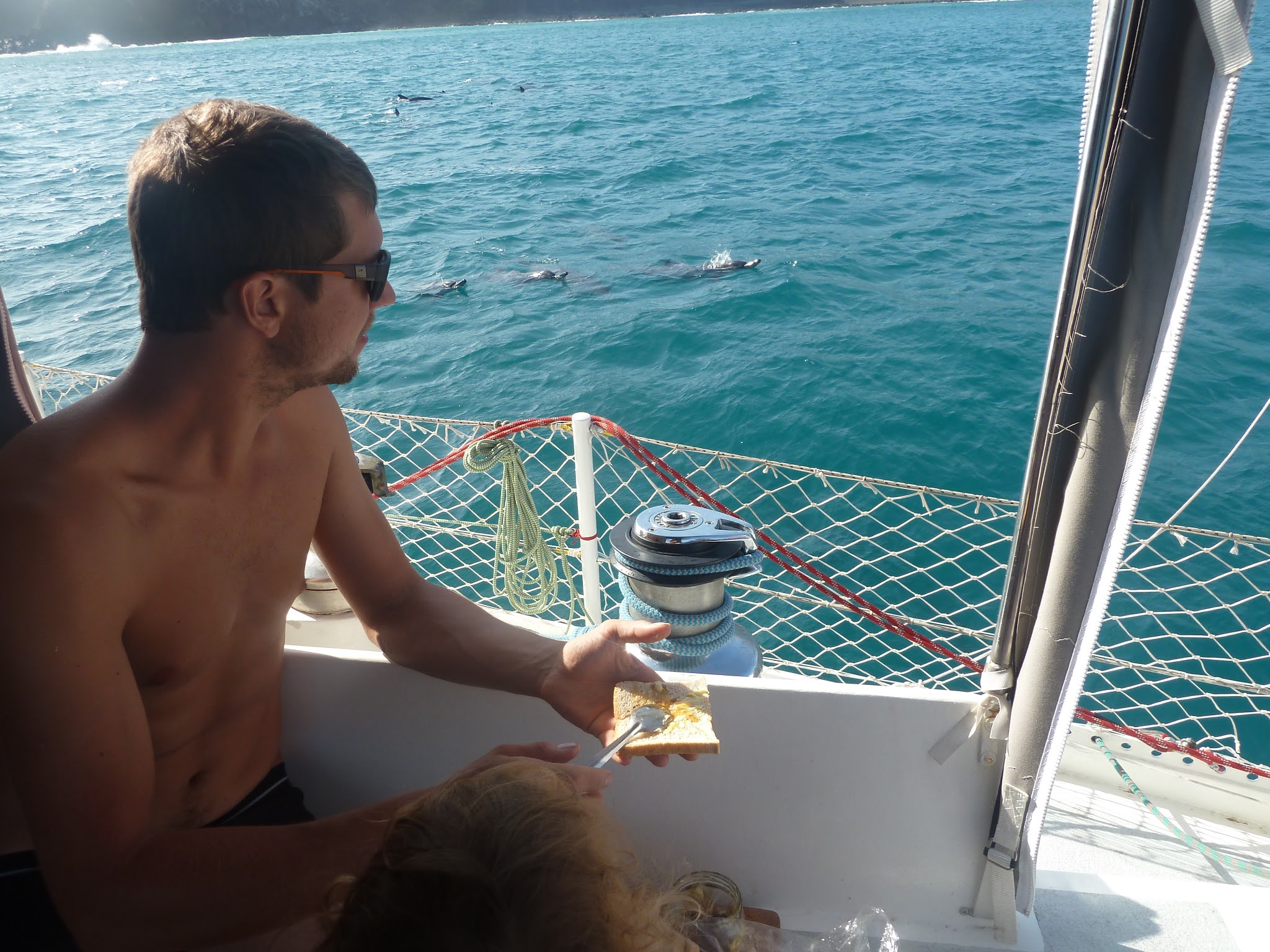 Breakfast with dolphins