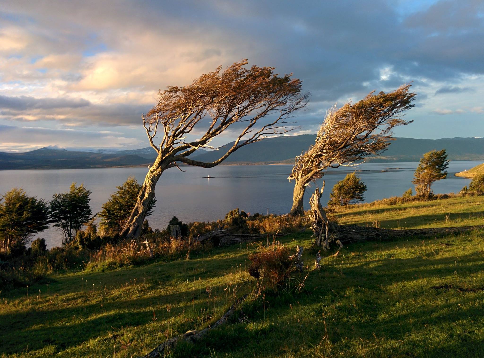 We wonder which way the wind is blowing....