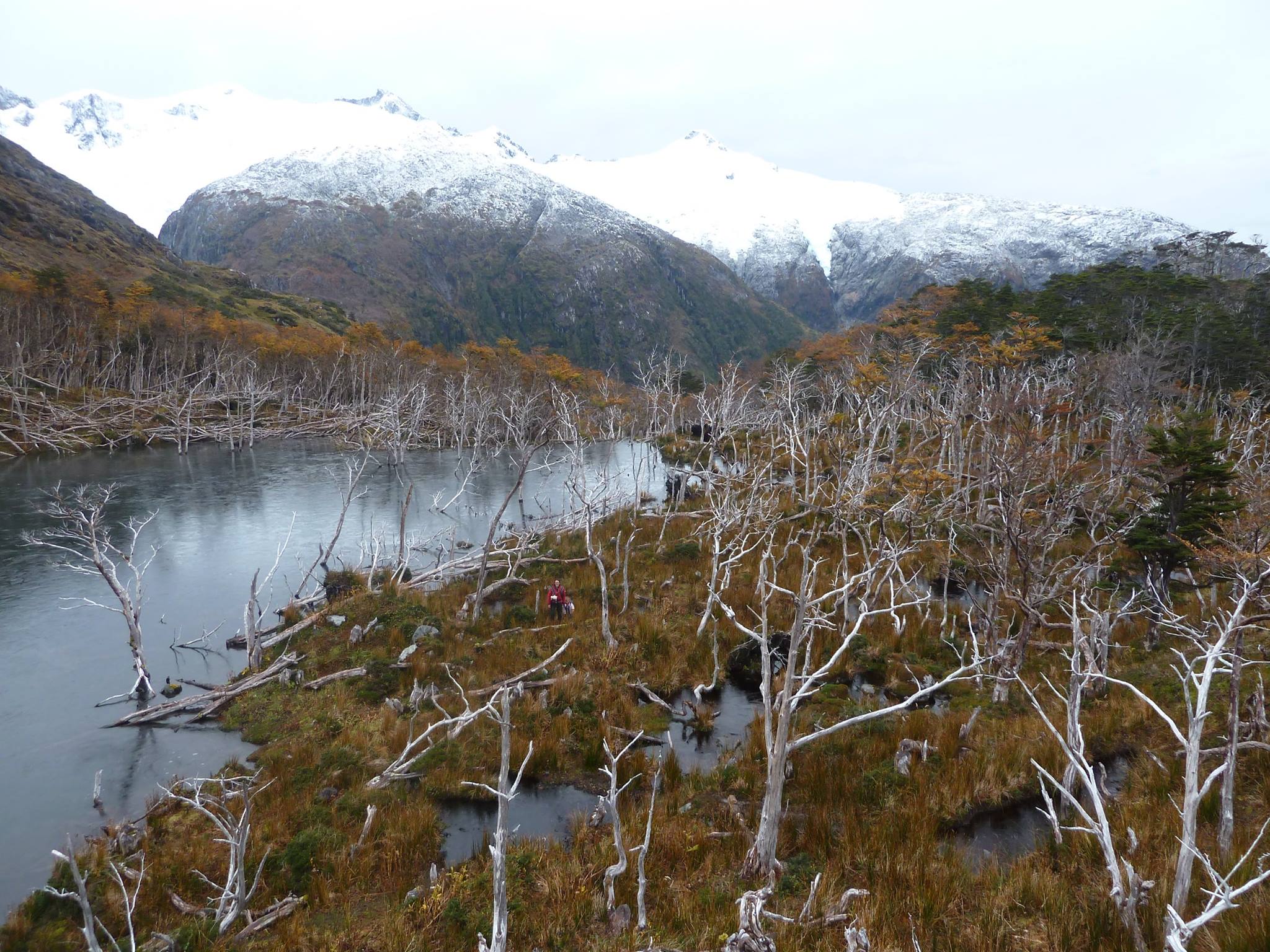 Frozen lake at the foot of the glacier at Estero Coloane