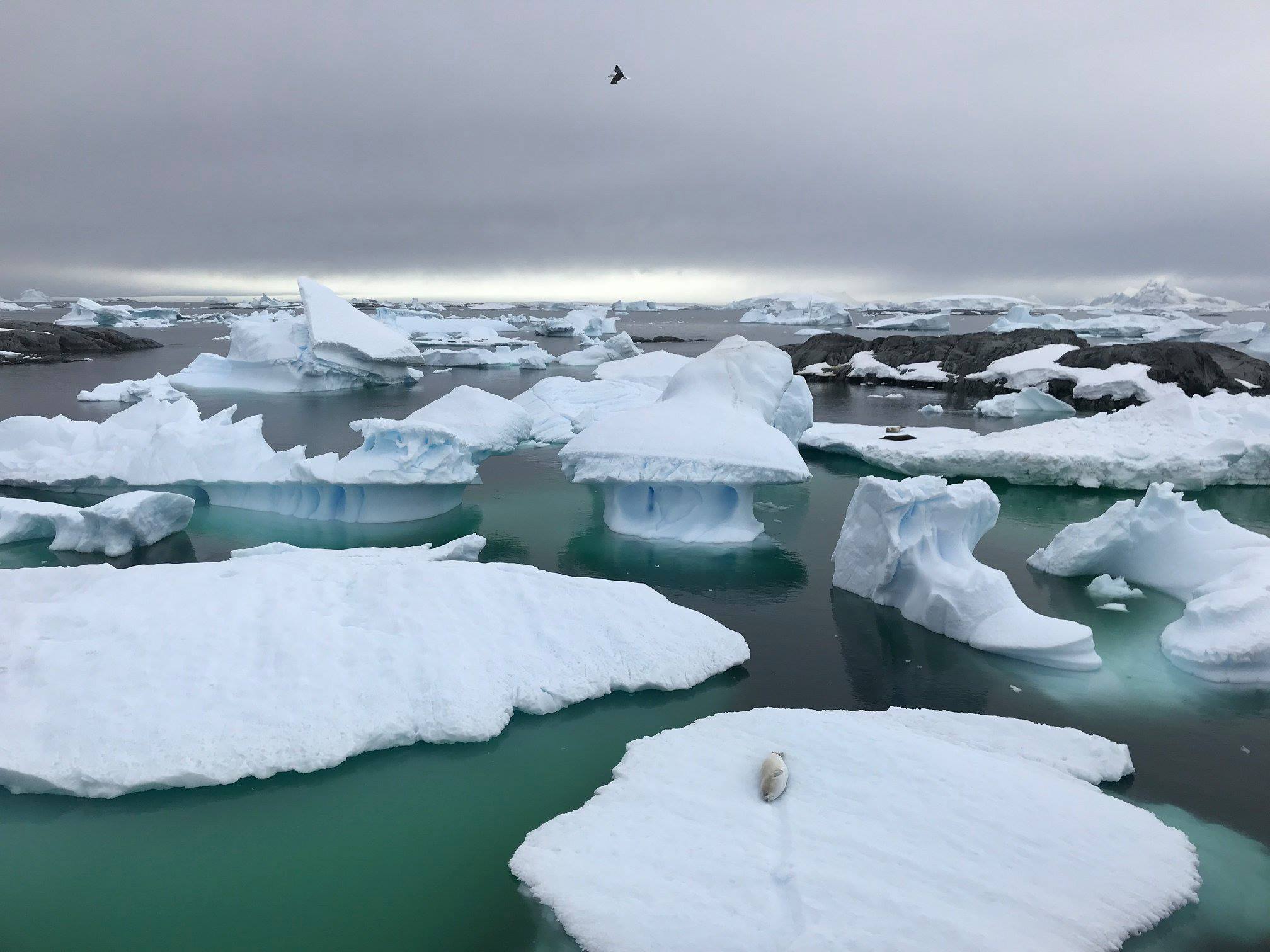 Iceberg graveyard, Vedel Islands