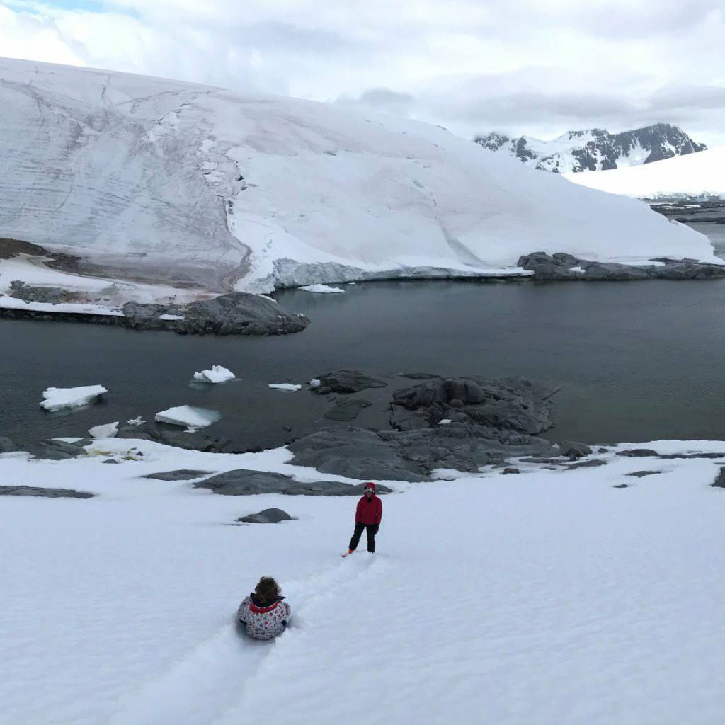 Seno Aliocha, Dannebrog Islands