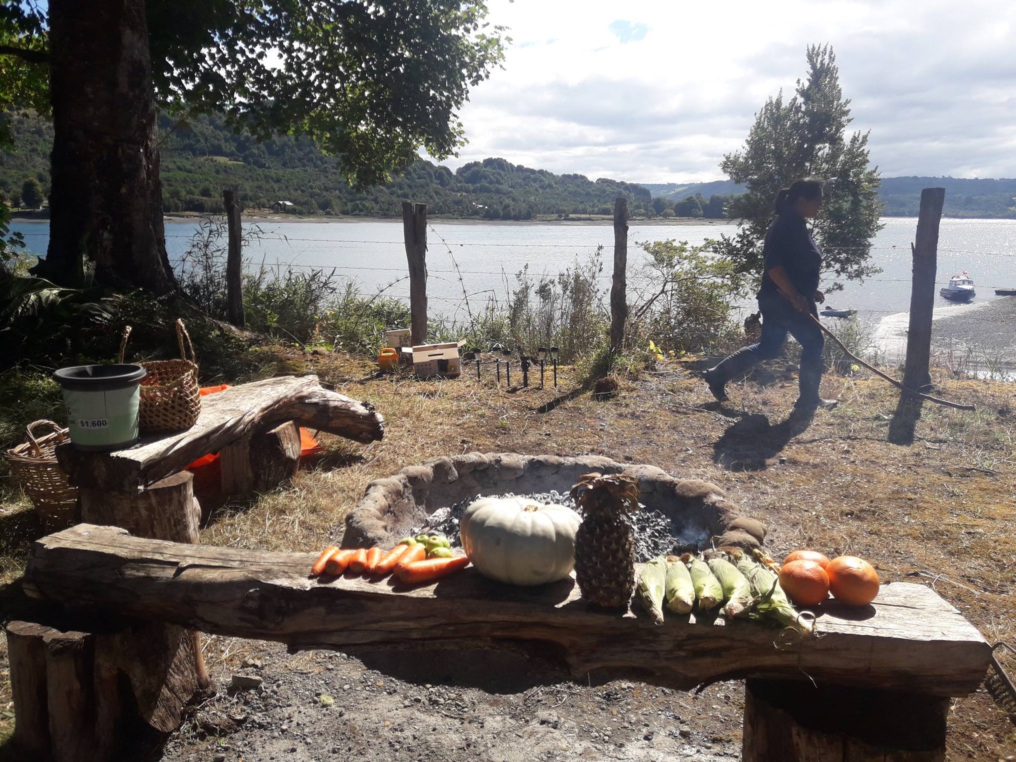 Curanto in preparation