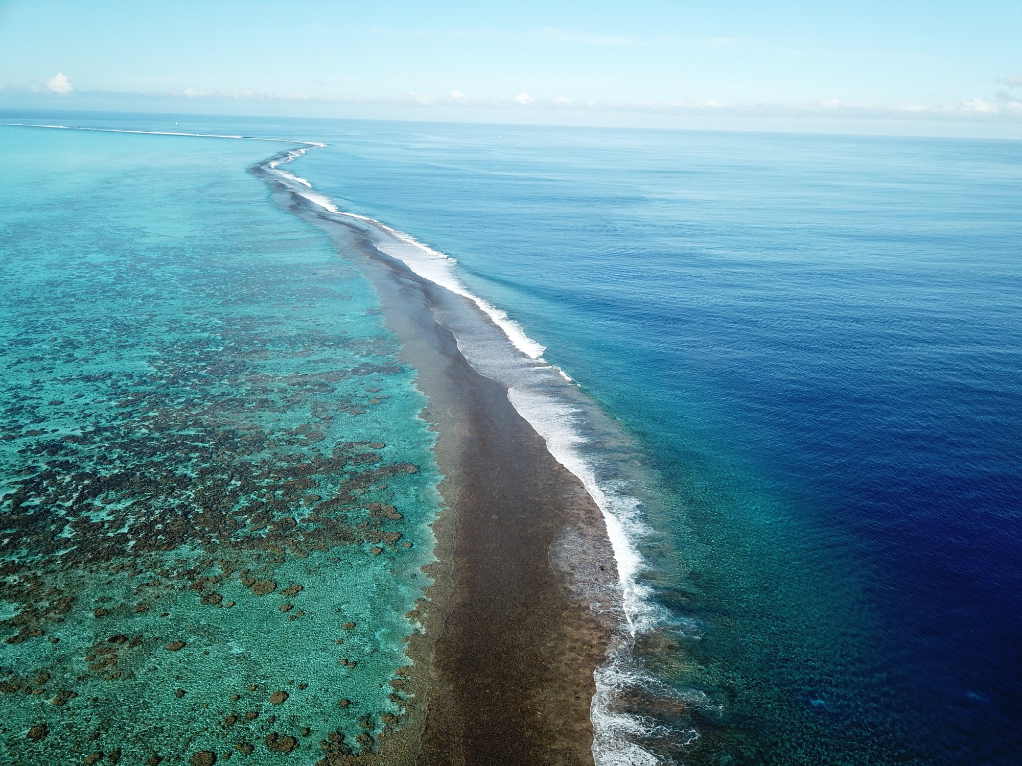 Coral reef