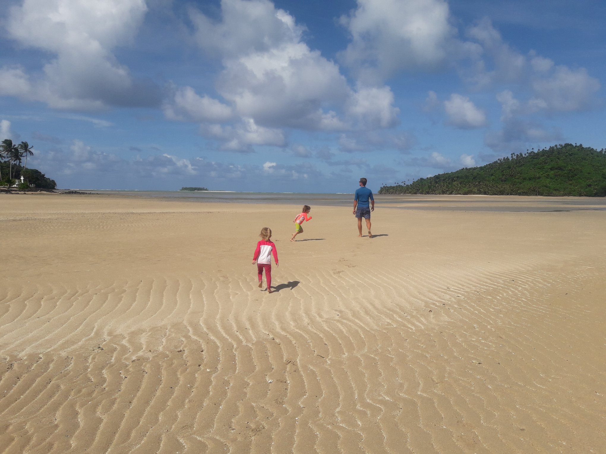 At low tide between the motus