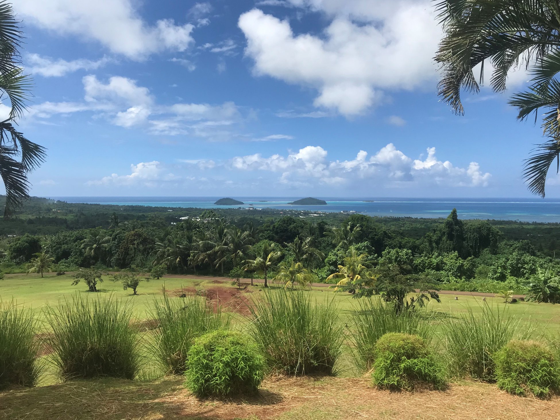 View from Mount Halo