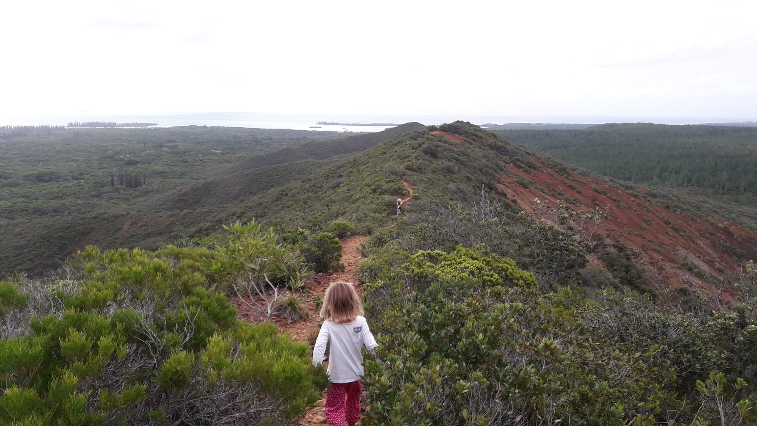 Ridge Trail, Nga Peak