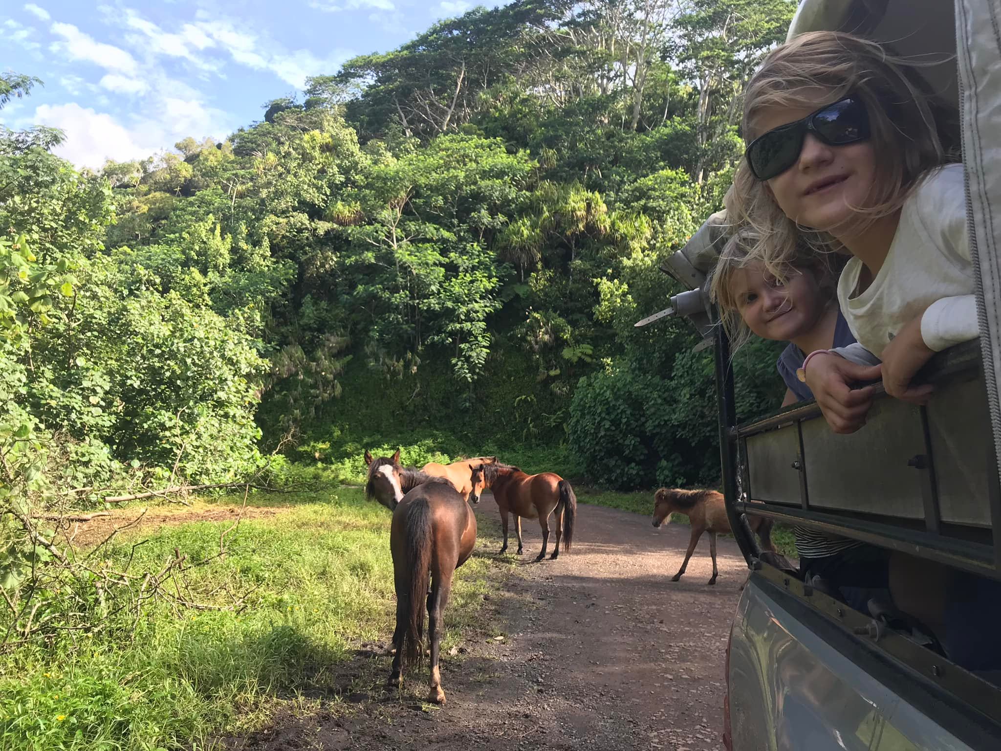 Chevaux , Hiva oa