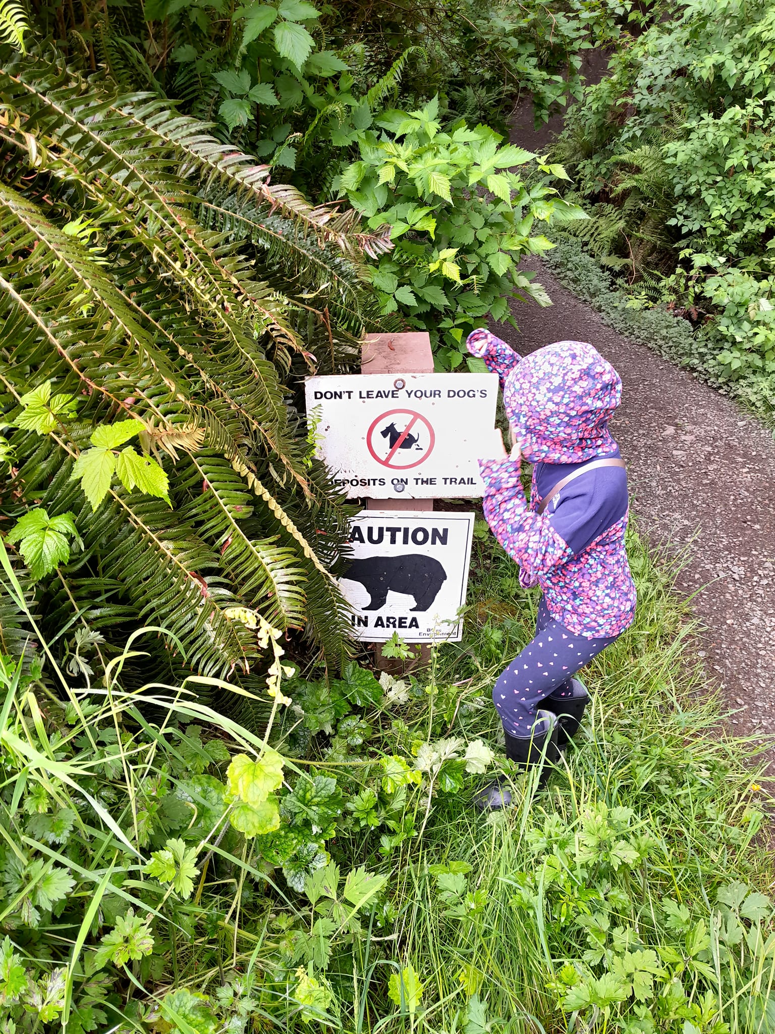 Caution!