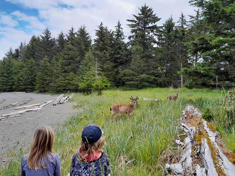 Les filles devant les cerfs de Sitka, K'uuna