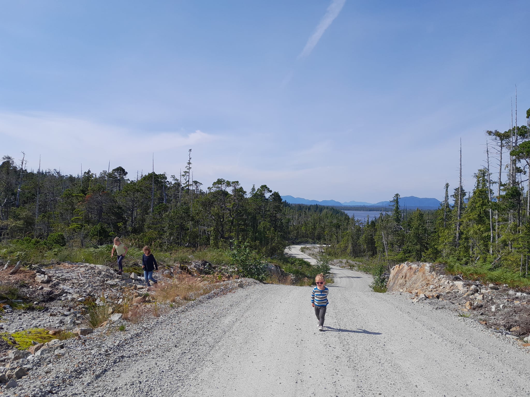 Walk at Shearwater