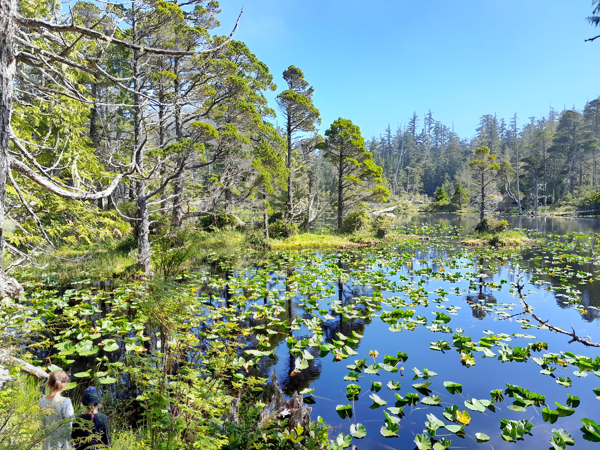 Calvert Island