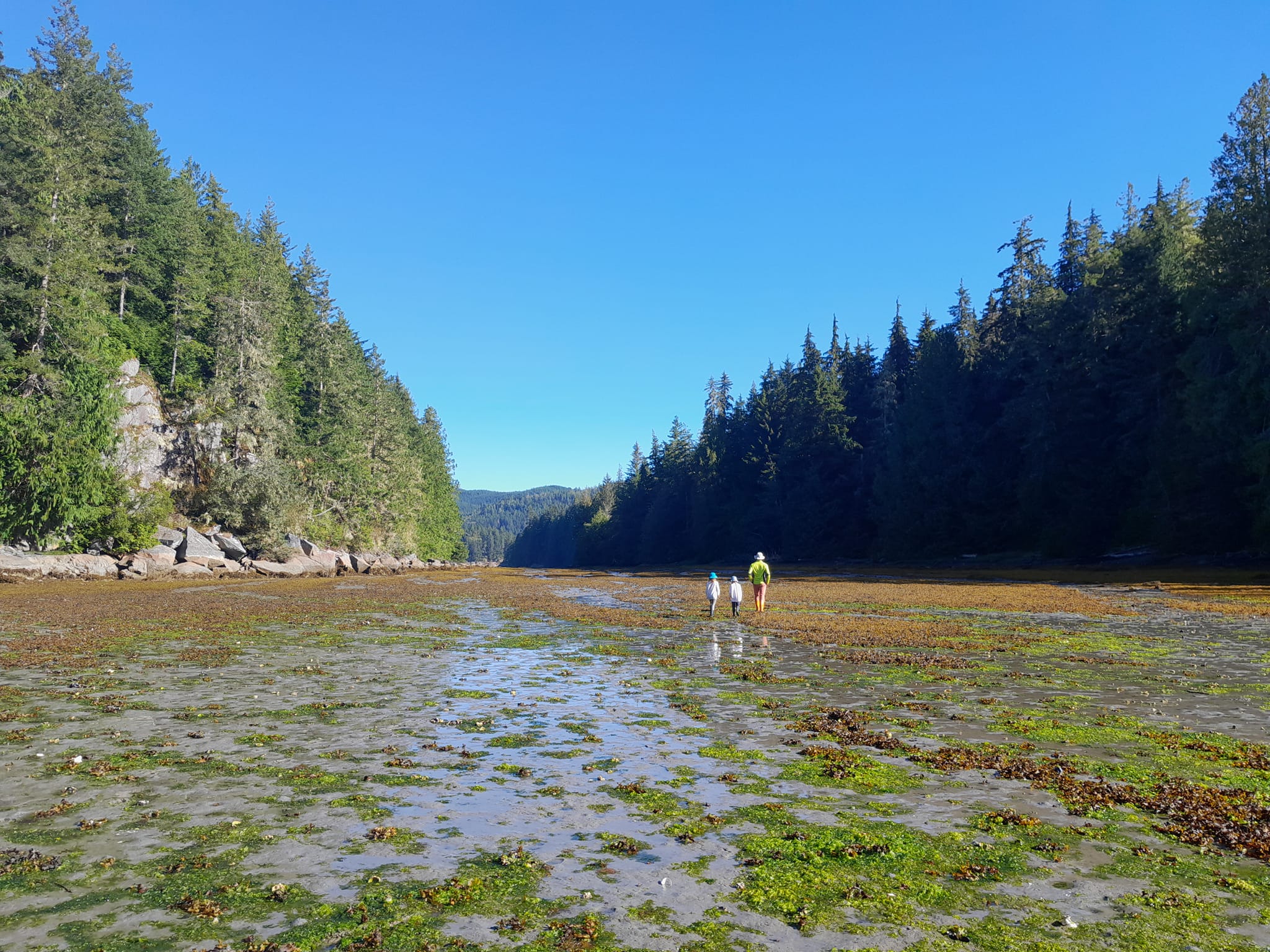 Hartley bay