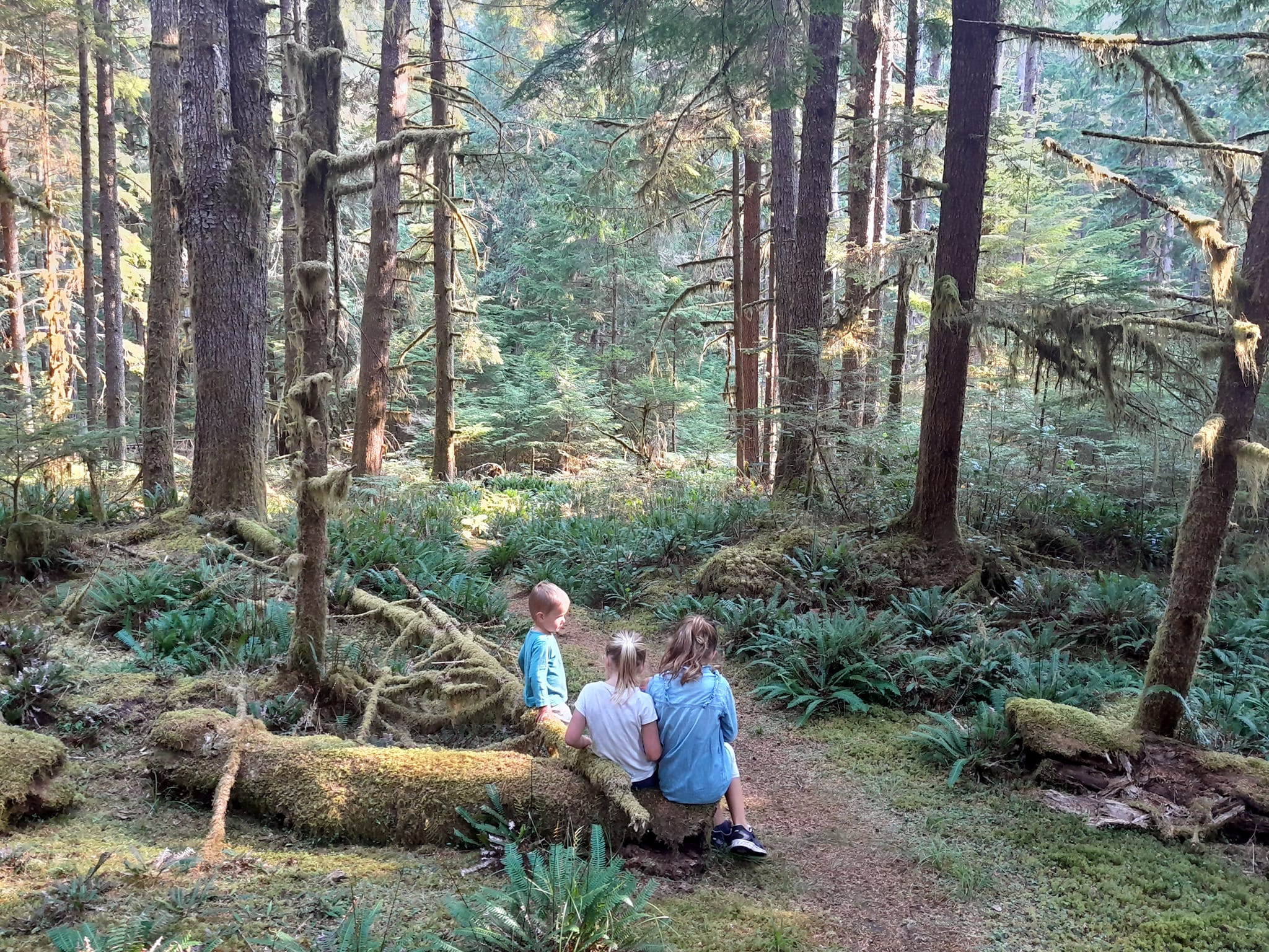 Squirrel cove, Cortes Island