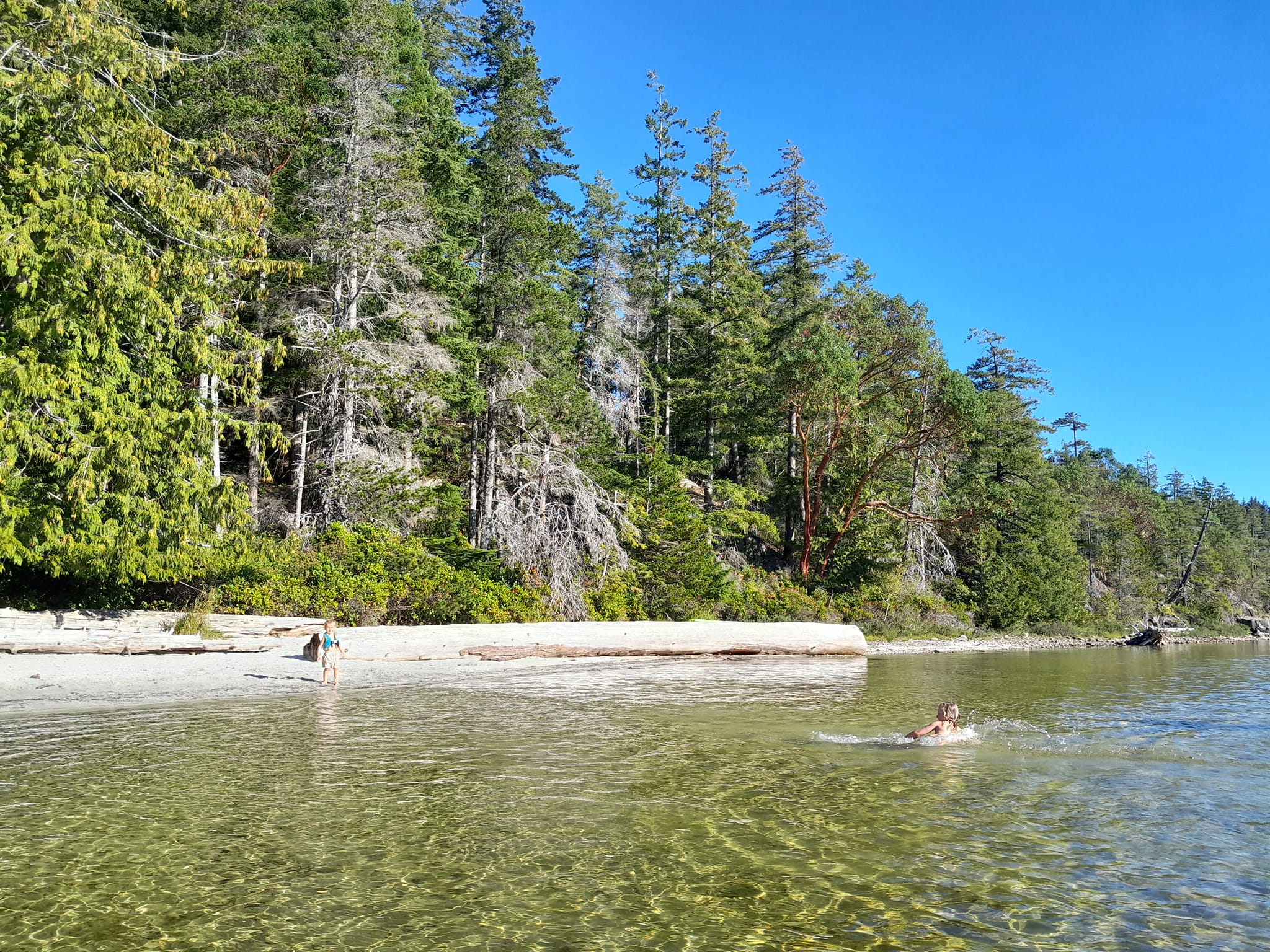 Baignade au lac, Cortes Island