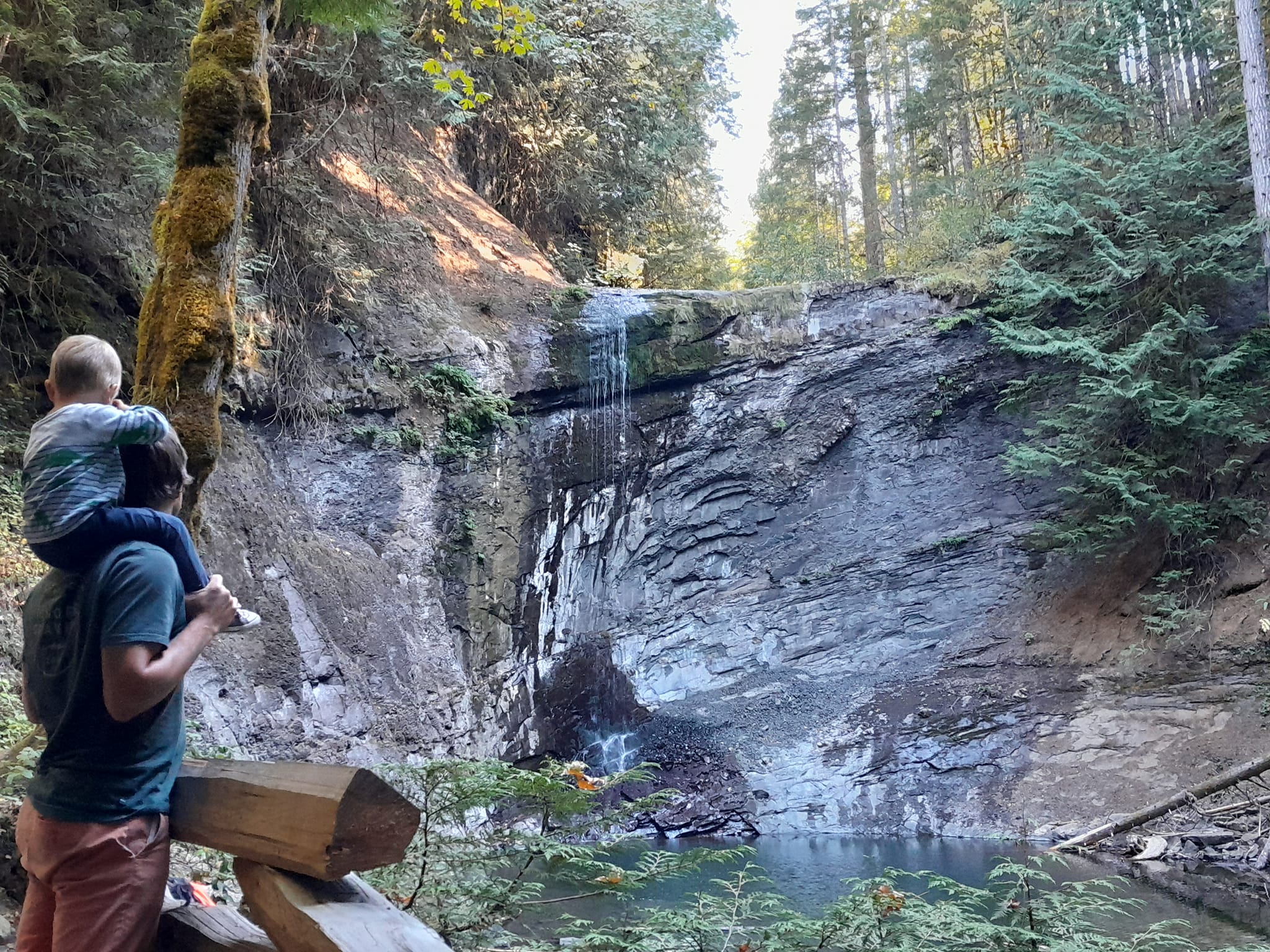 Amonite Fall Nanaimo