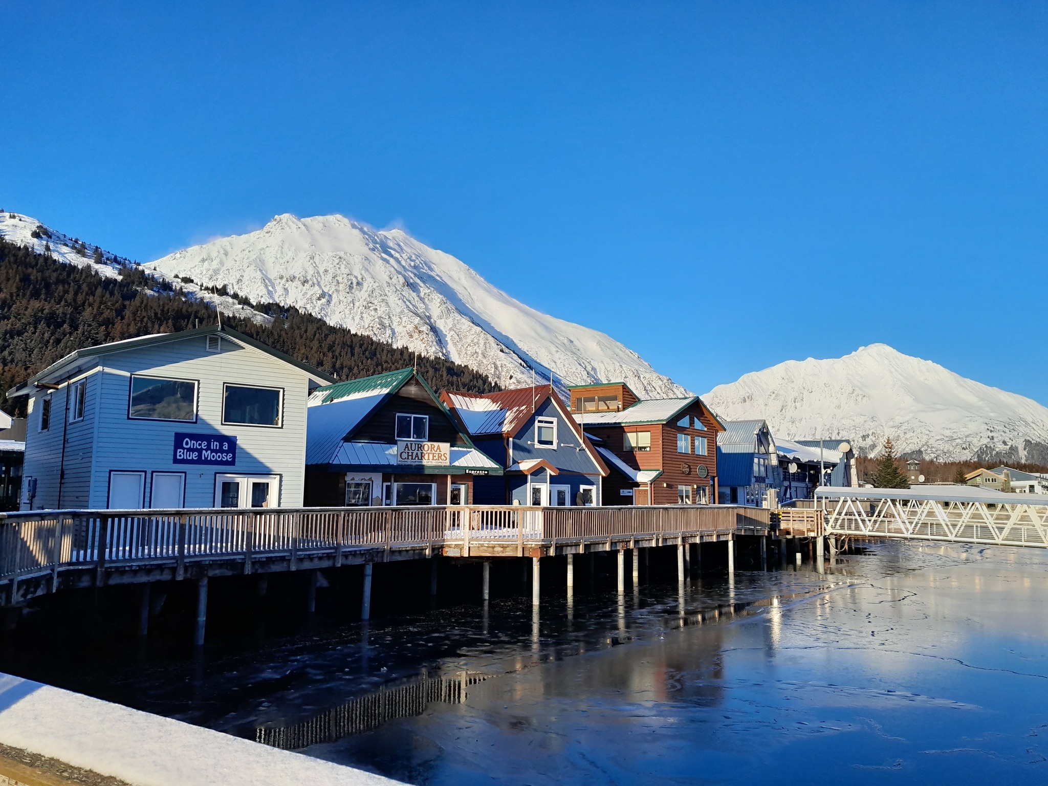 Seward small boat harbor