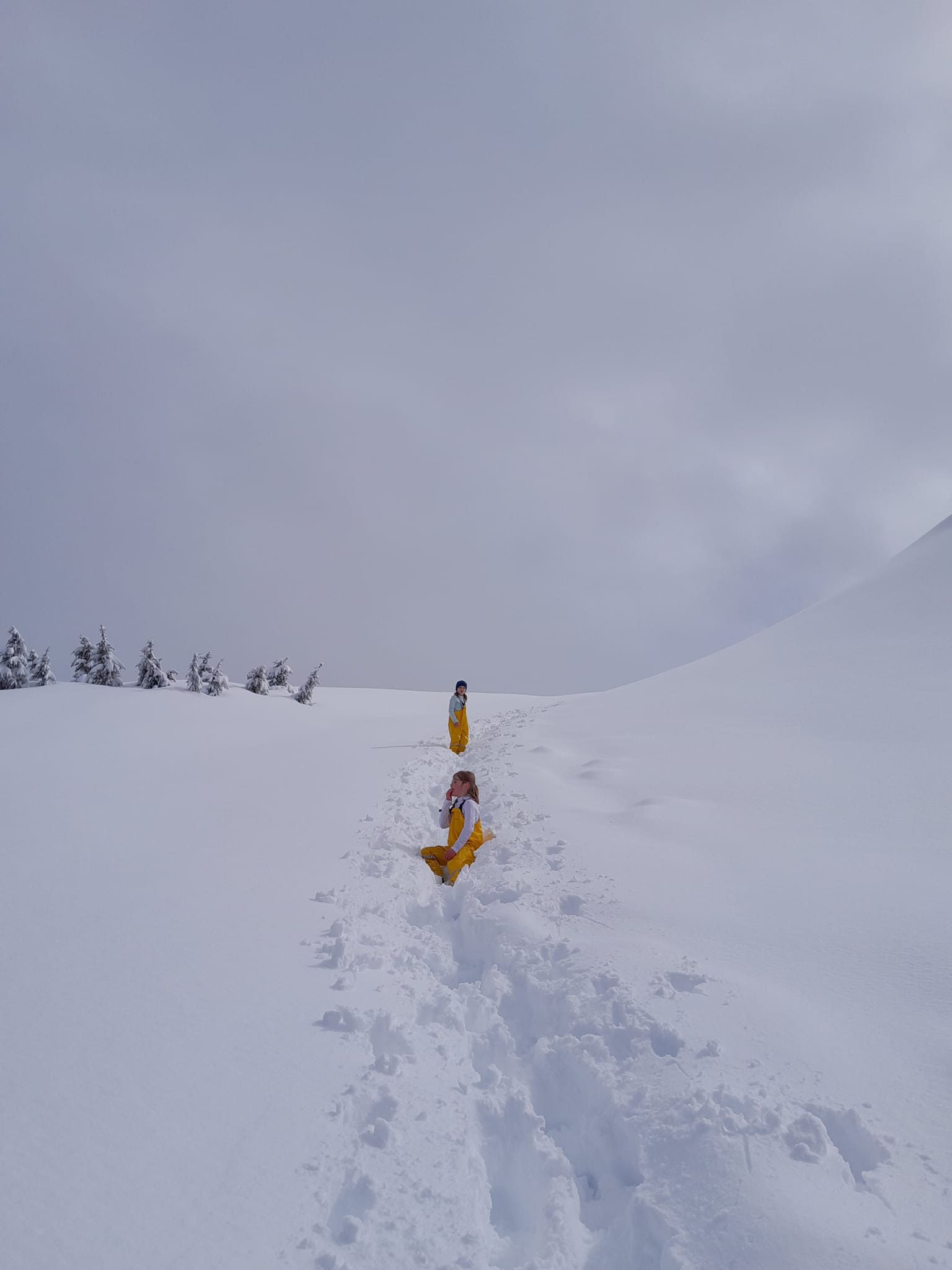 Verstovia Trail