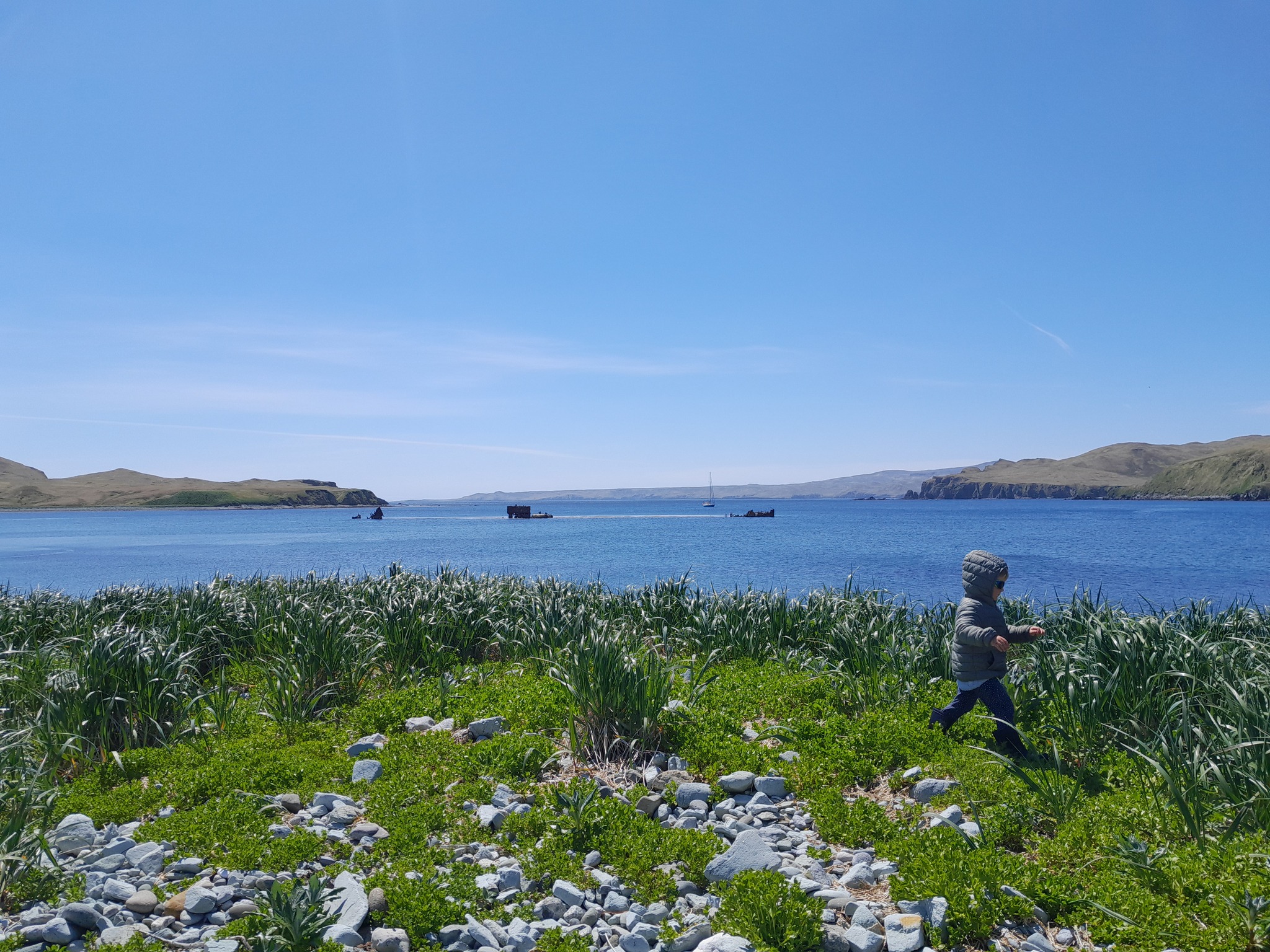 Gertrude Harbor , Kiska