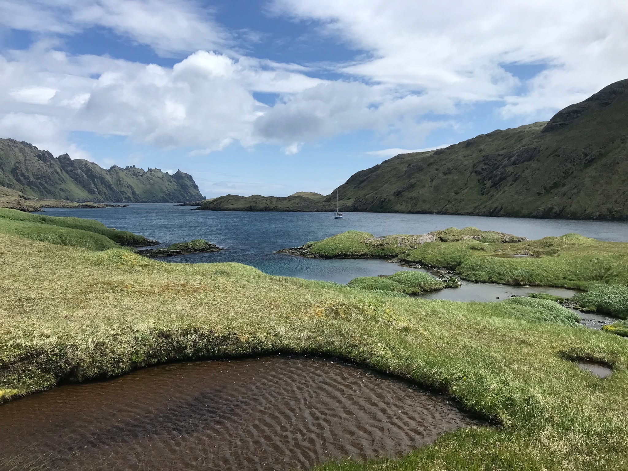 Quail cove, Kagalaska