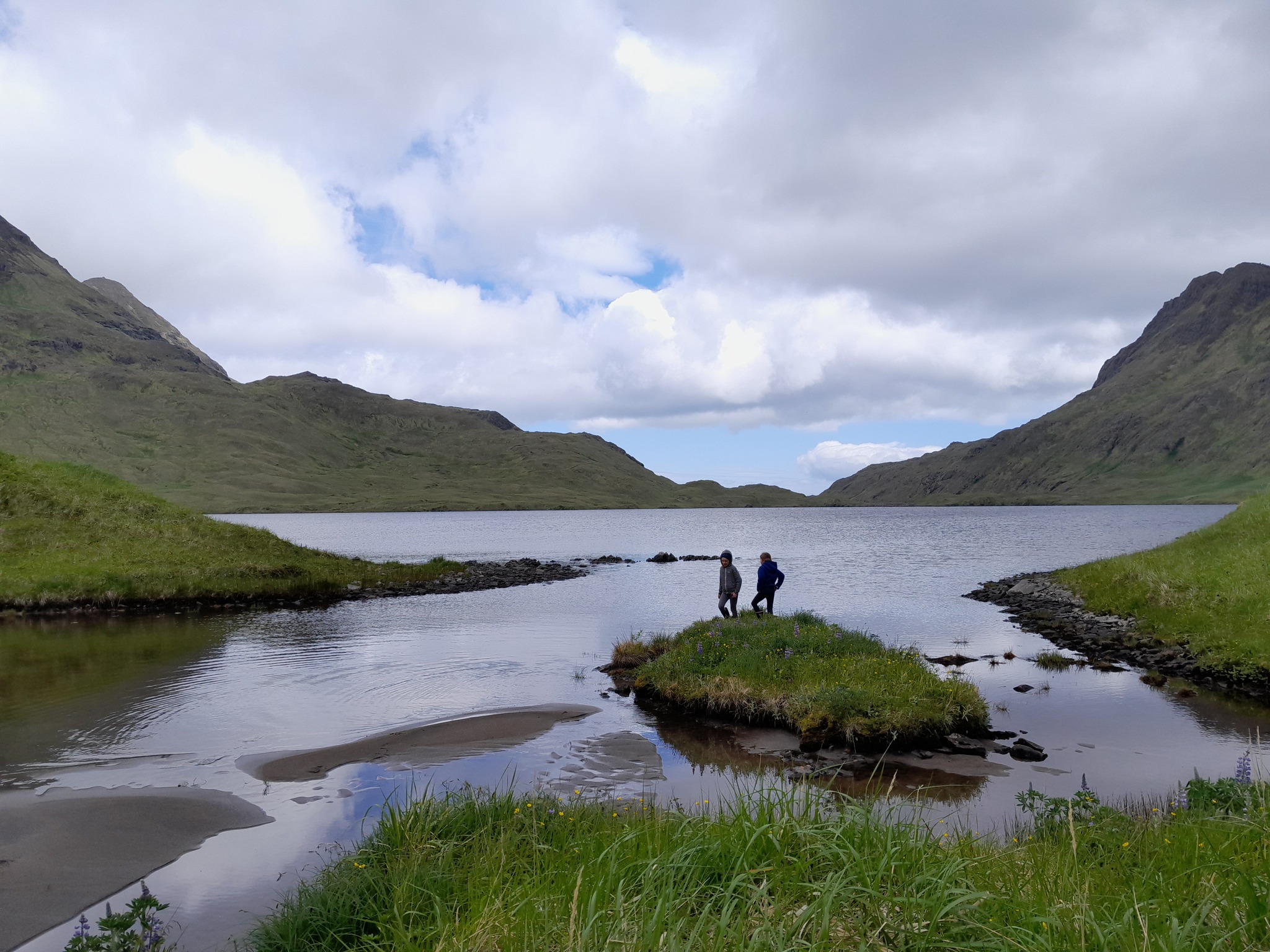 Quail cove, Kagalaska