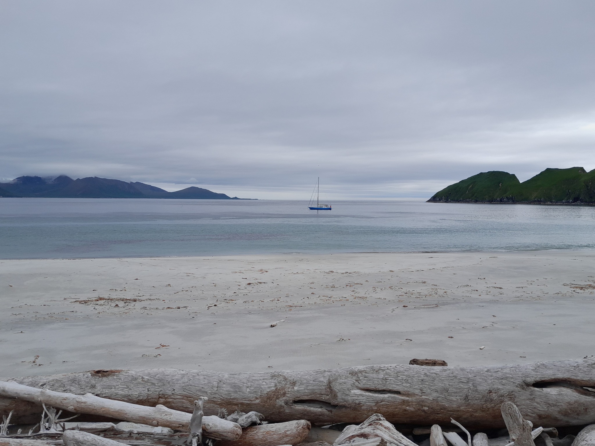 Bird island
