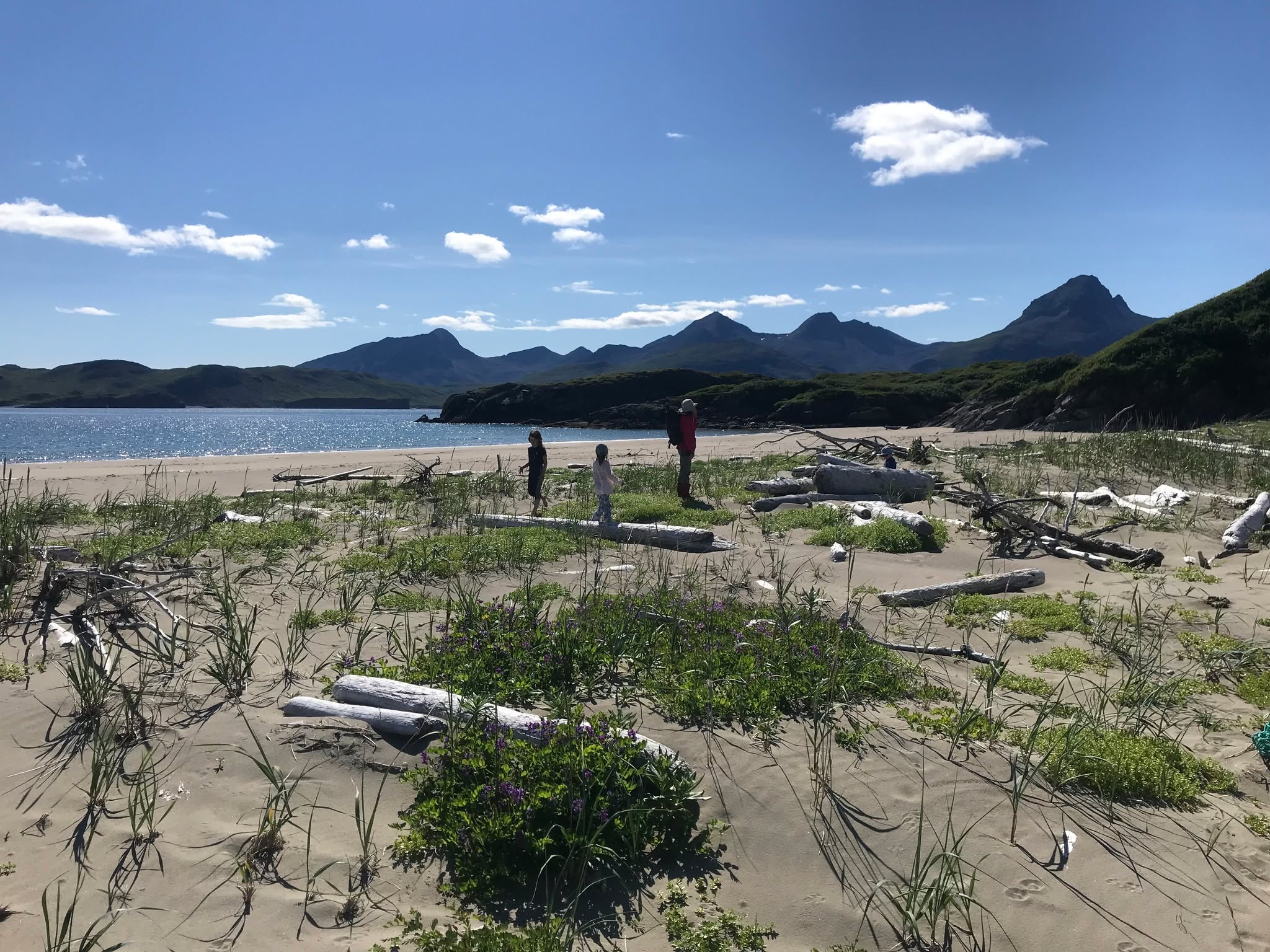 Agripina bay