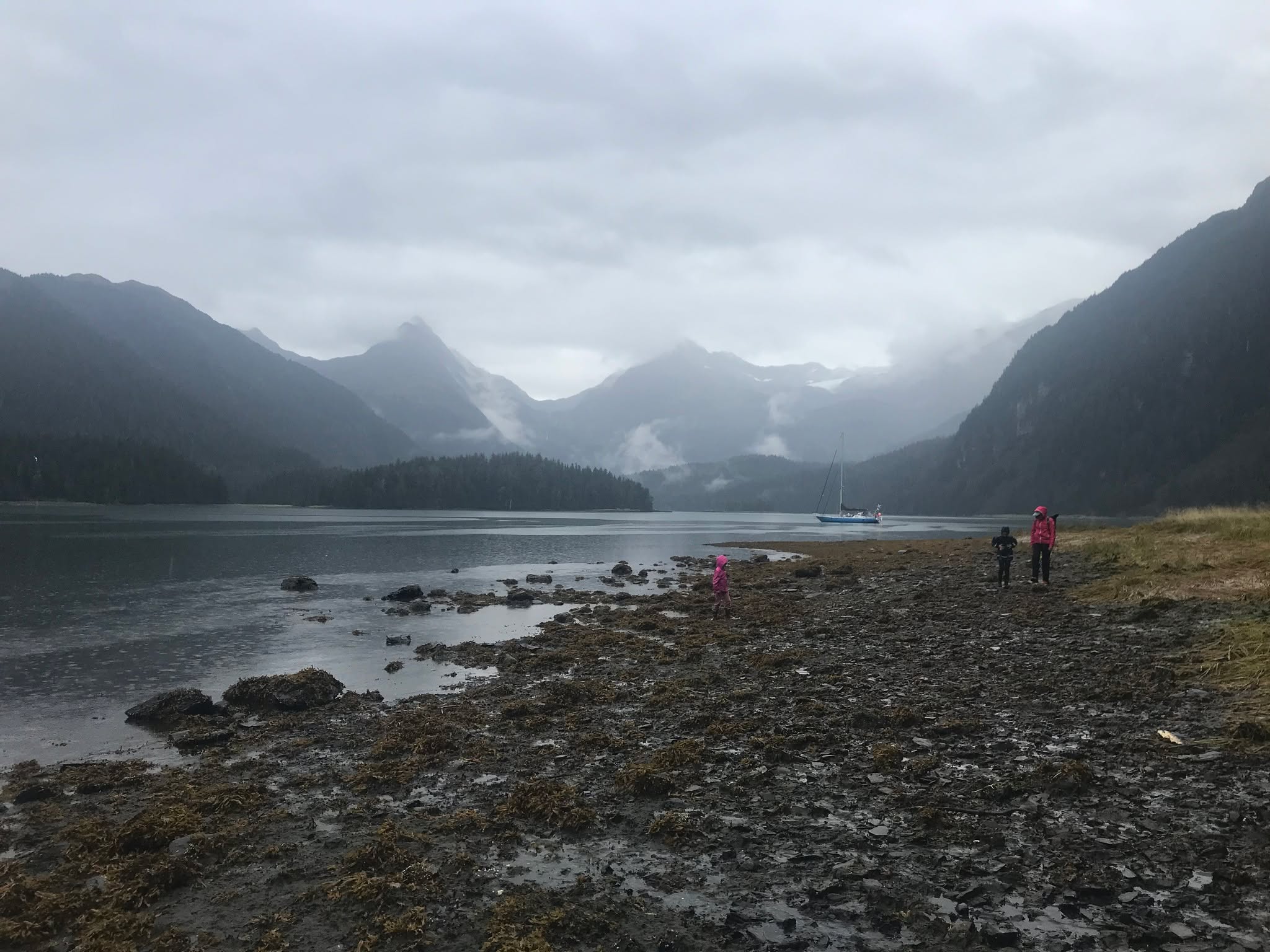 Sawmill bay, Prince William Sound