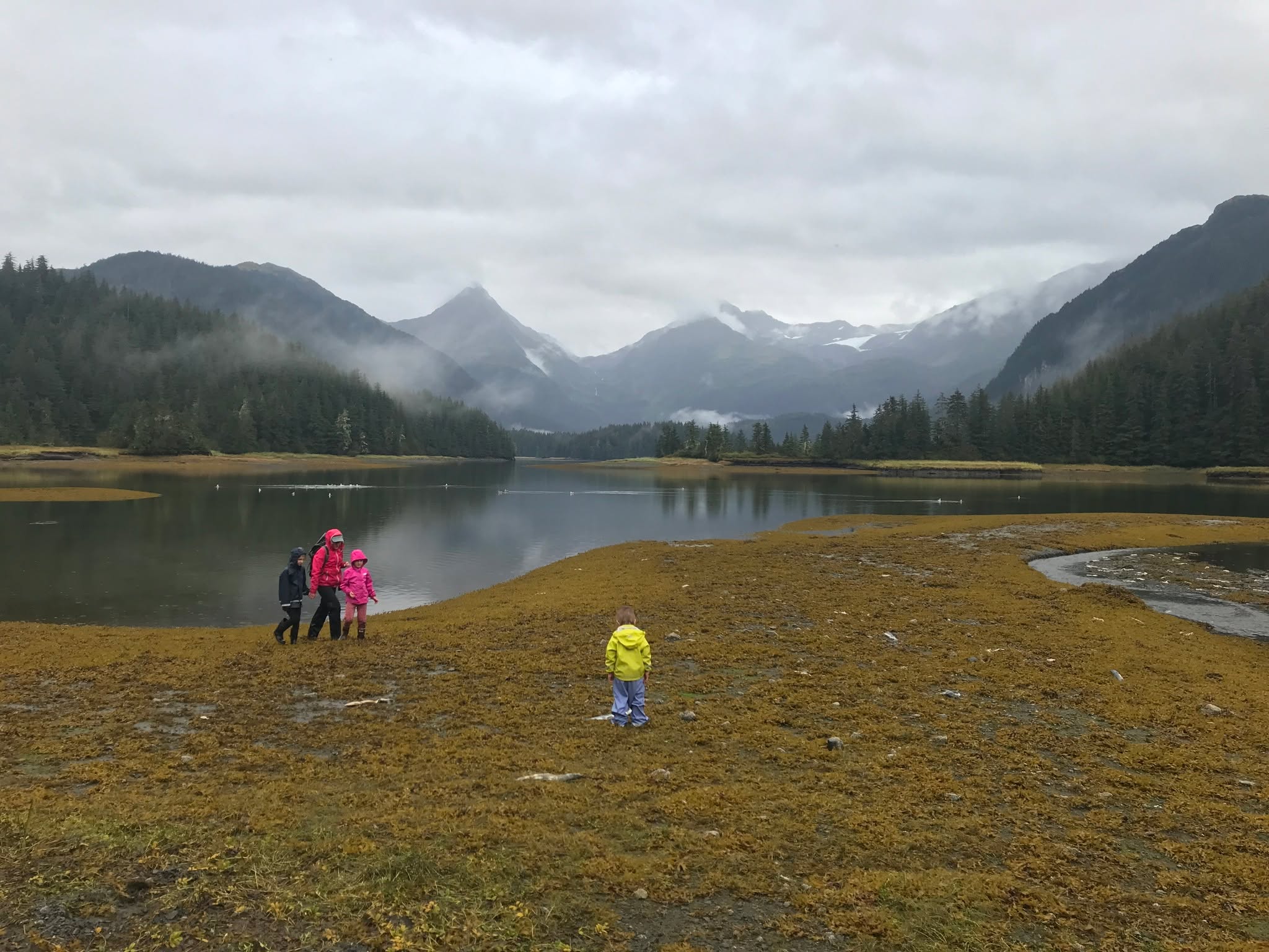 Sawmill bay