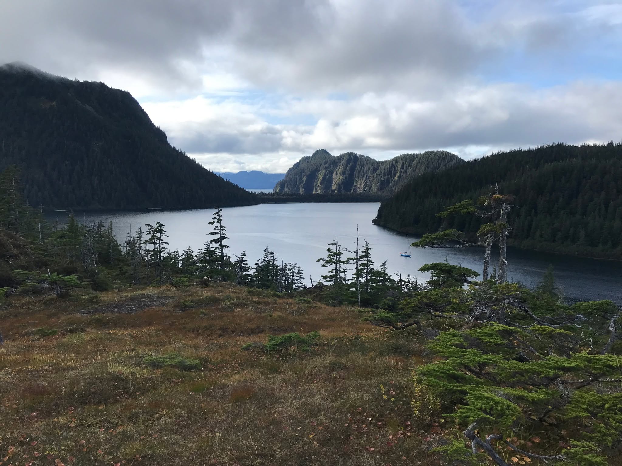 Fox farm bay, Prince William Sound