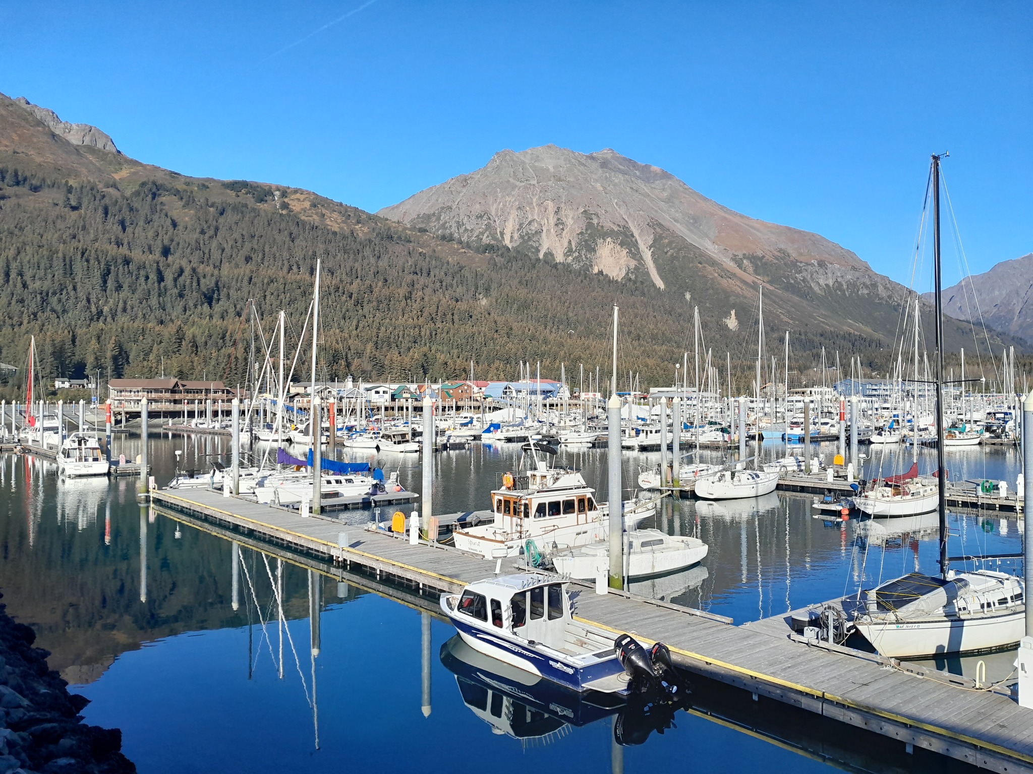 Seward small boat harbour