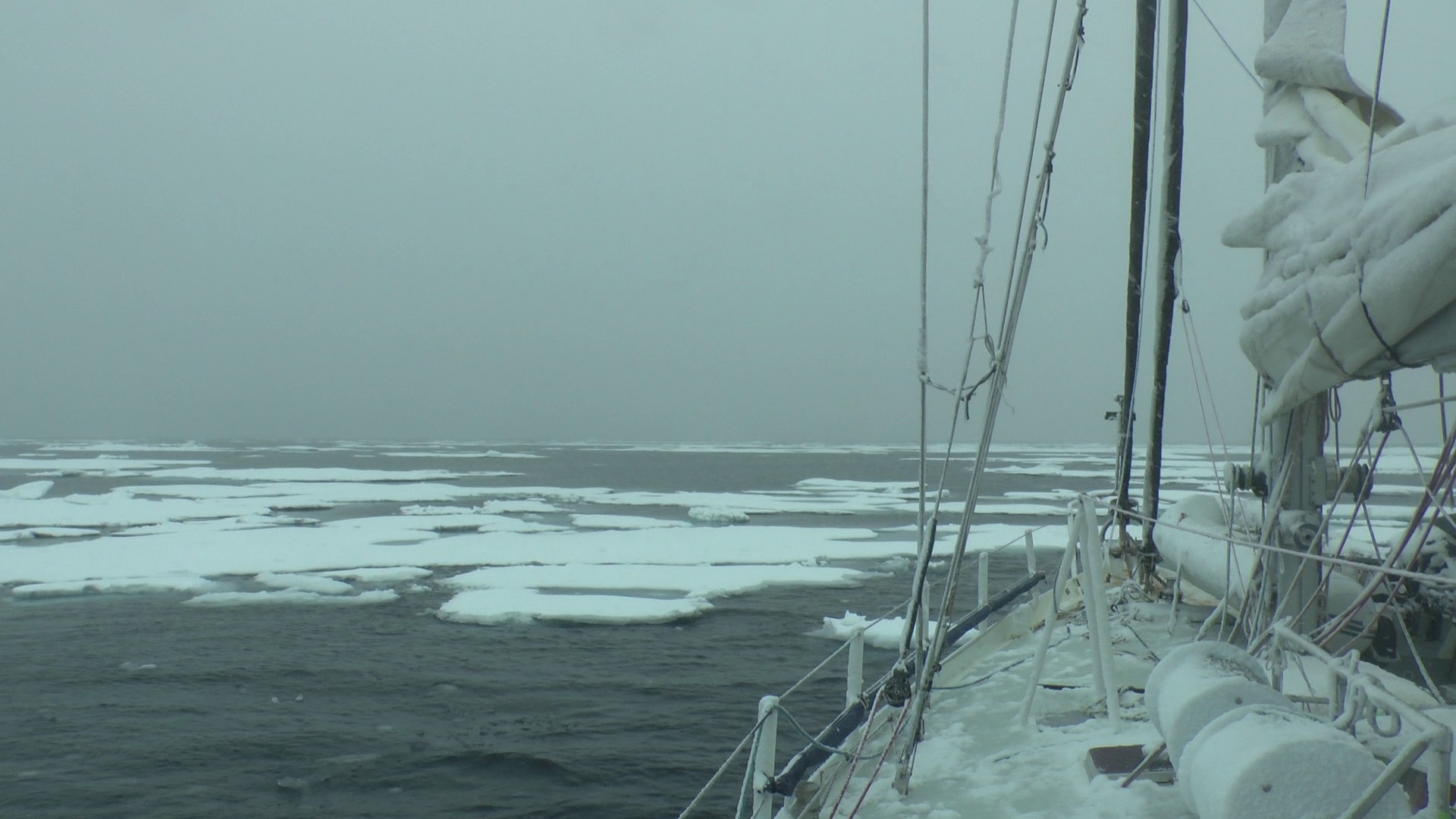 Victoria strait, looking for a path through the pack.