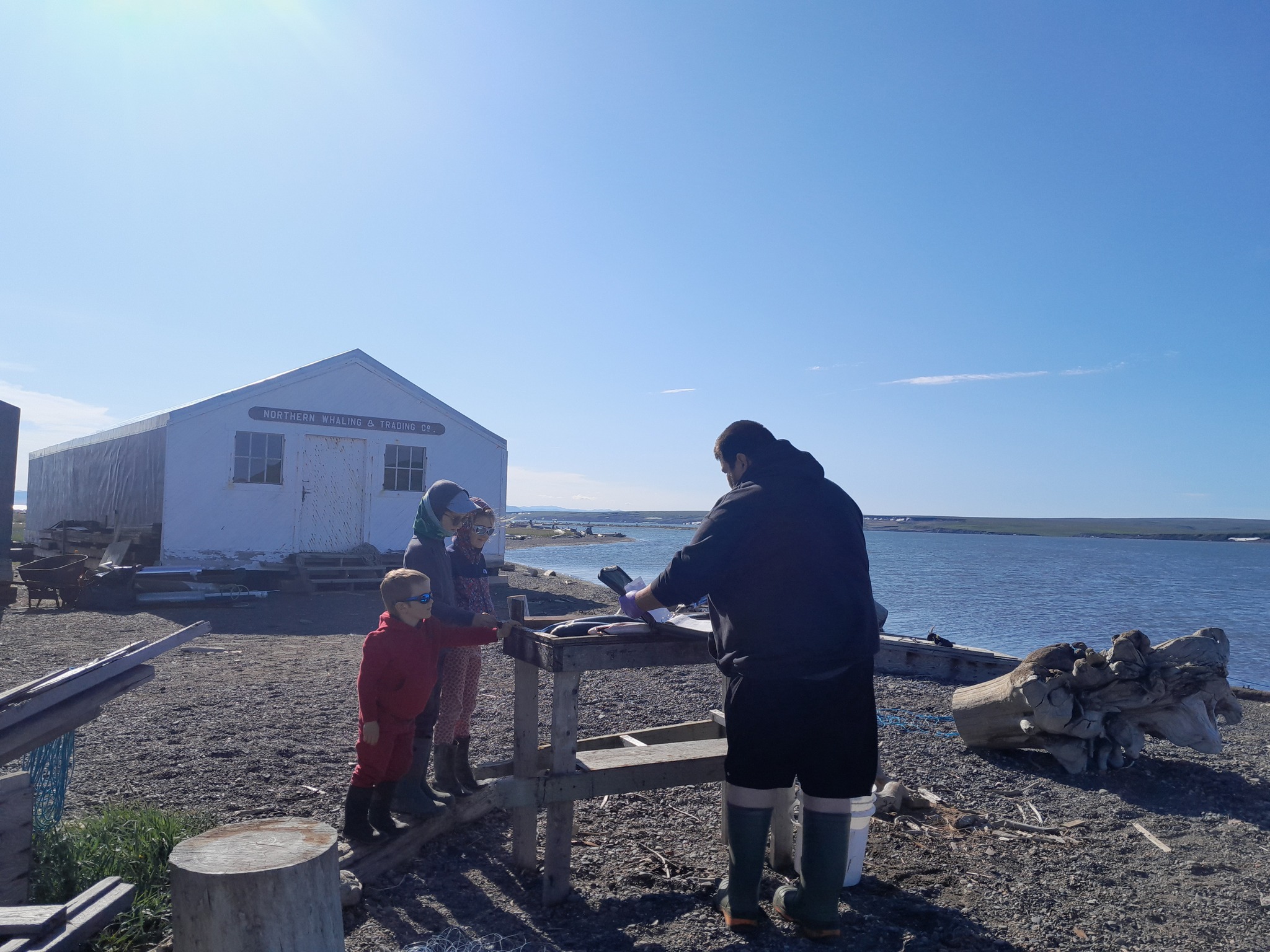 Study of arctic chars by the ranger, Herschel island