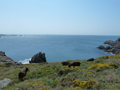 Vue de Nav de Pâques!