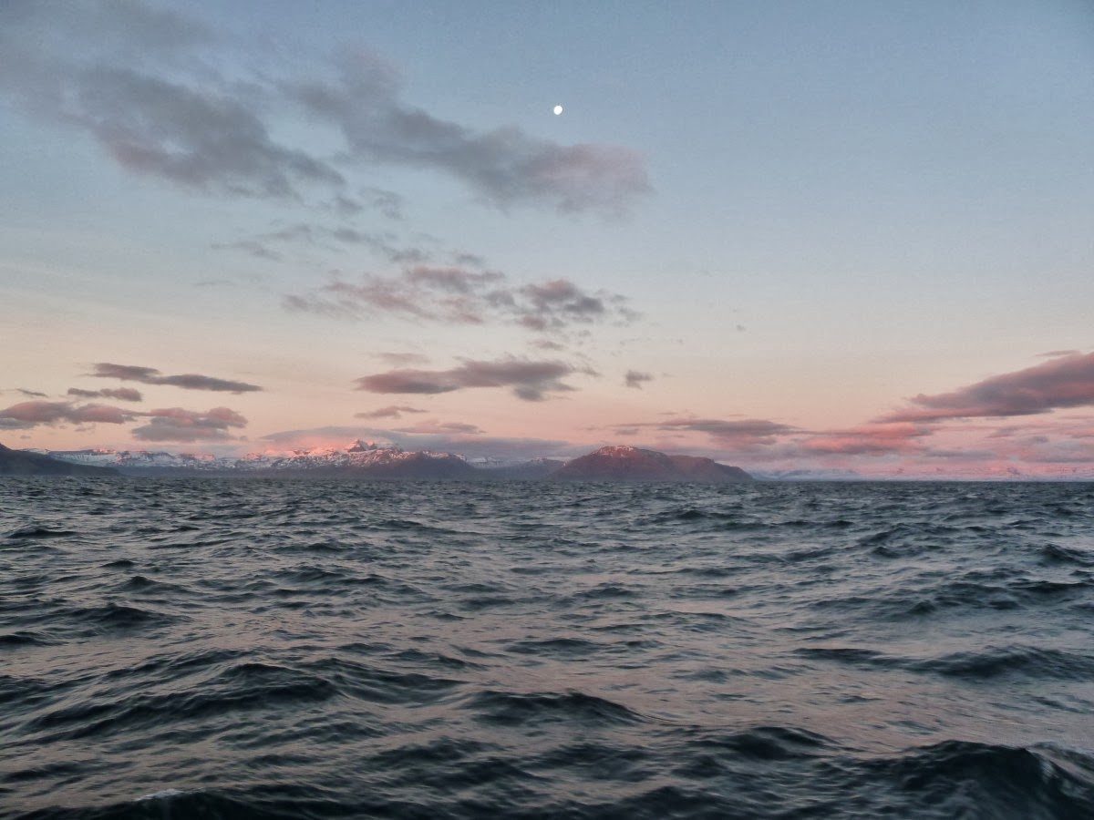 Côte Est de l'Islande à l'aube