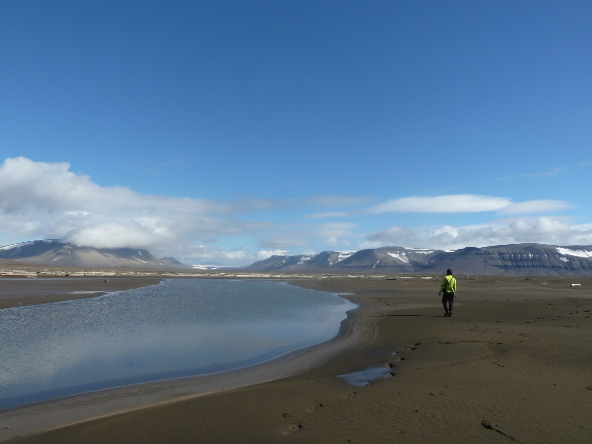 Diskobukta, Edgeoeya