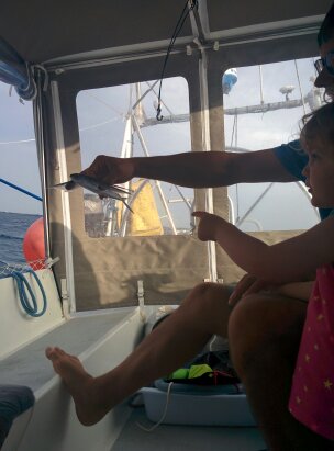 Premier poisson volant ou exocet