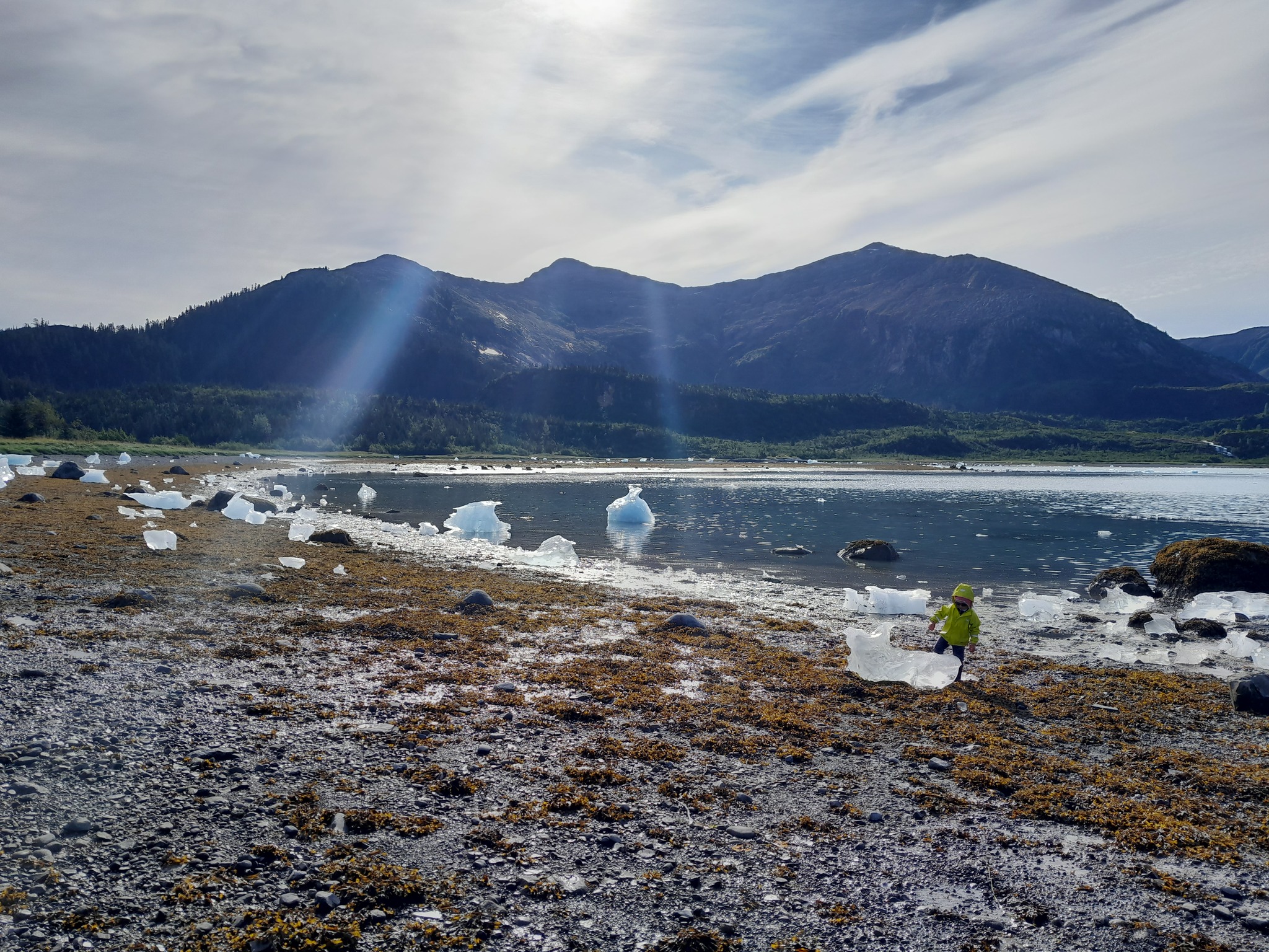 Ancienne moraine, Nellie Juan Glacier