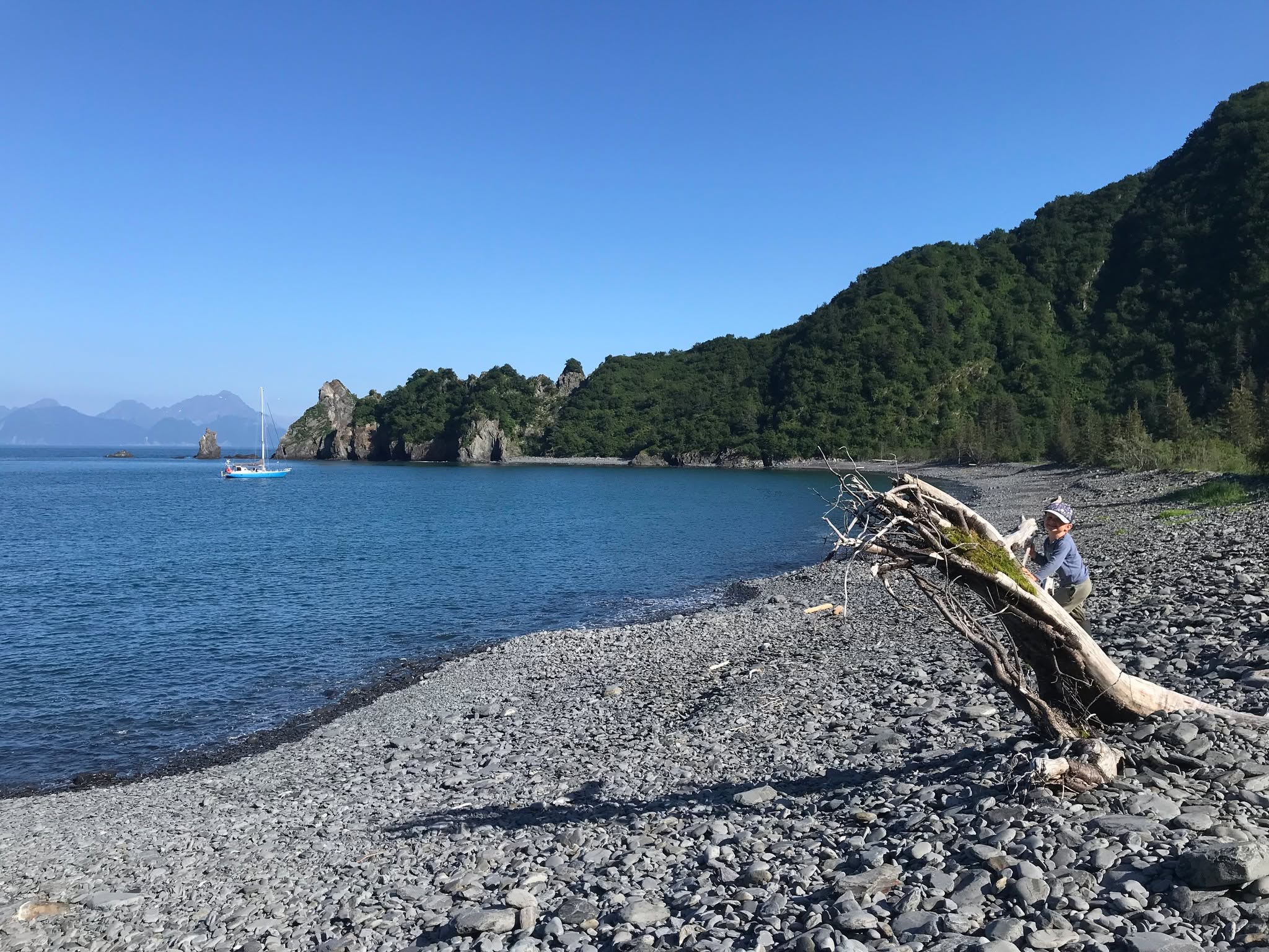 Bulldog cove