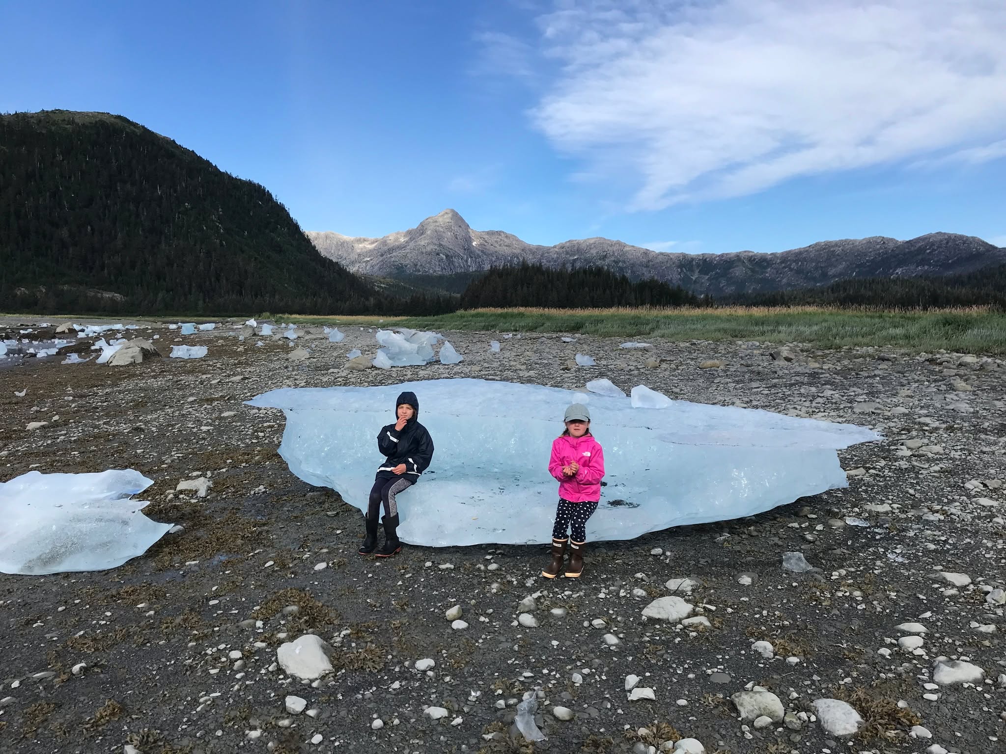 Growler du Nellie Juan glacier