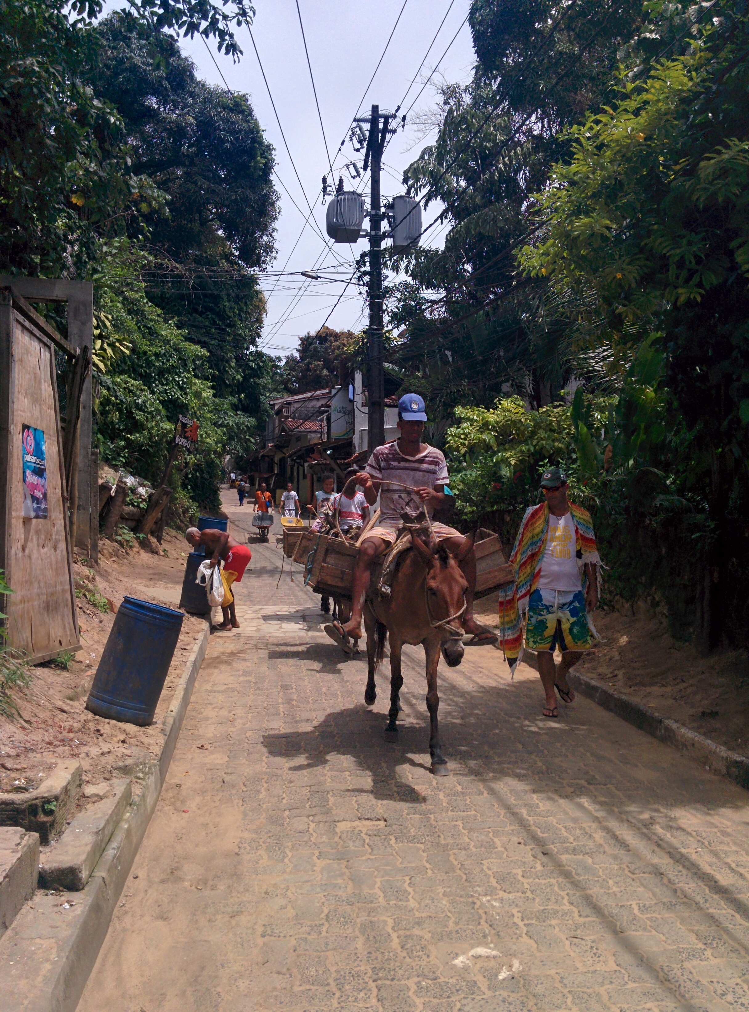 Moyen de transport local